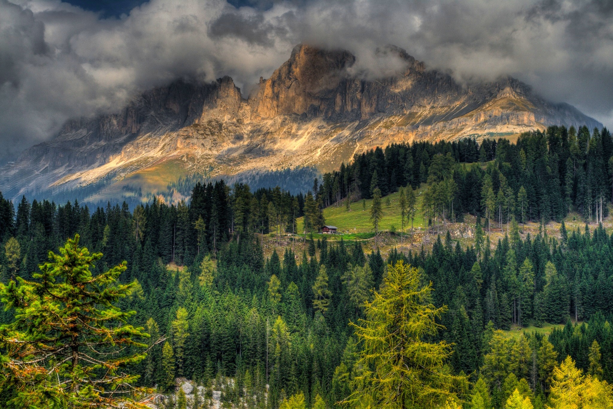Mountain range with forest and clouds HD Wallpaper