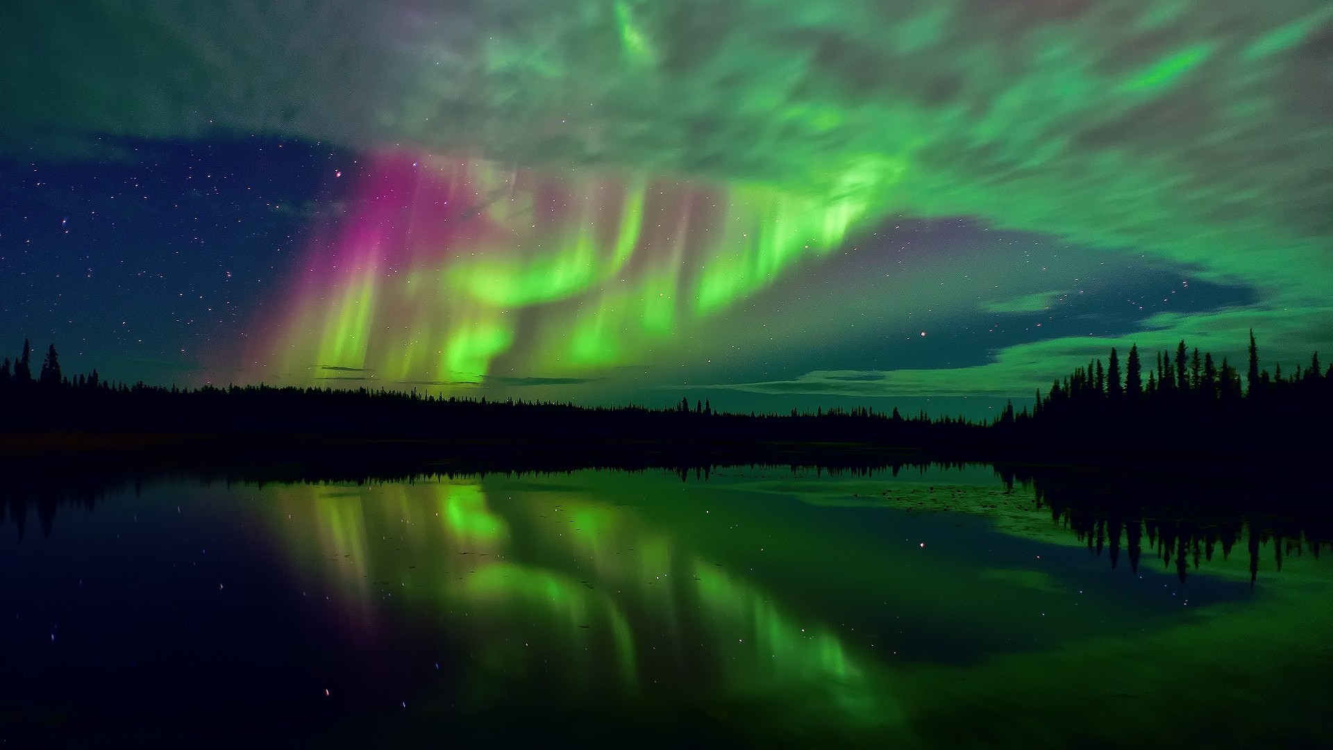 Aurora Borealis reflected in a lake with pine trees HD Wallpaper