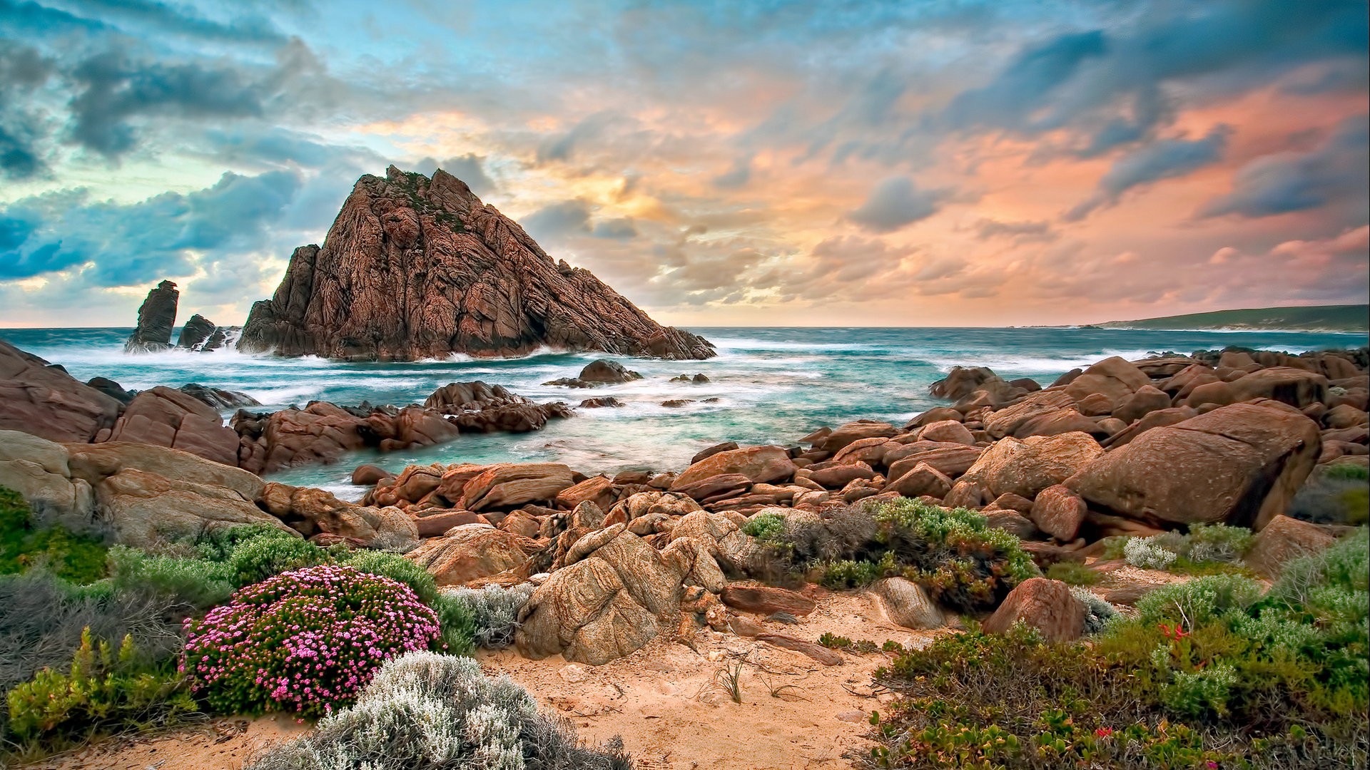 Rocky coast with flowers at sunset HD Wallpaper