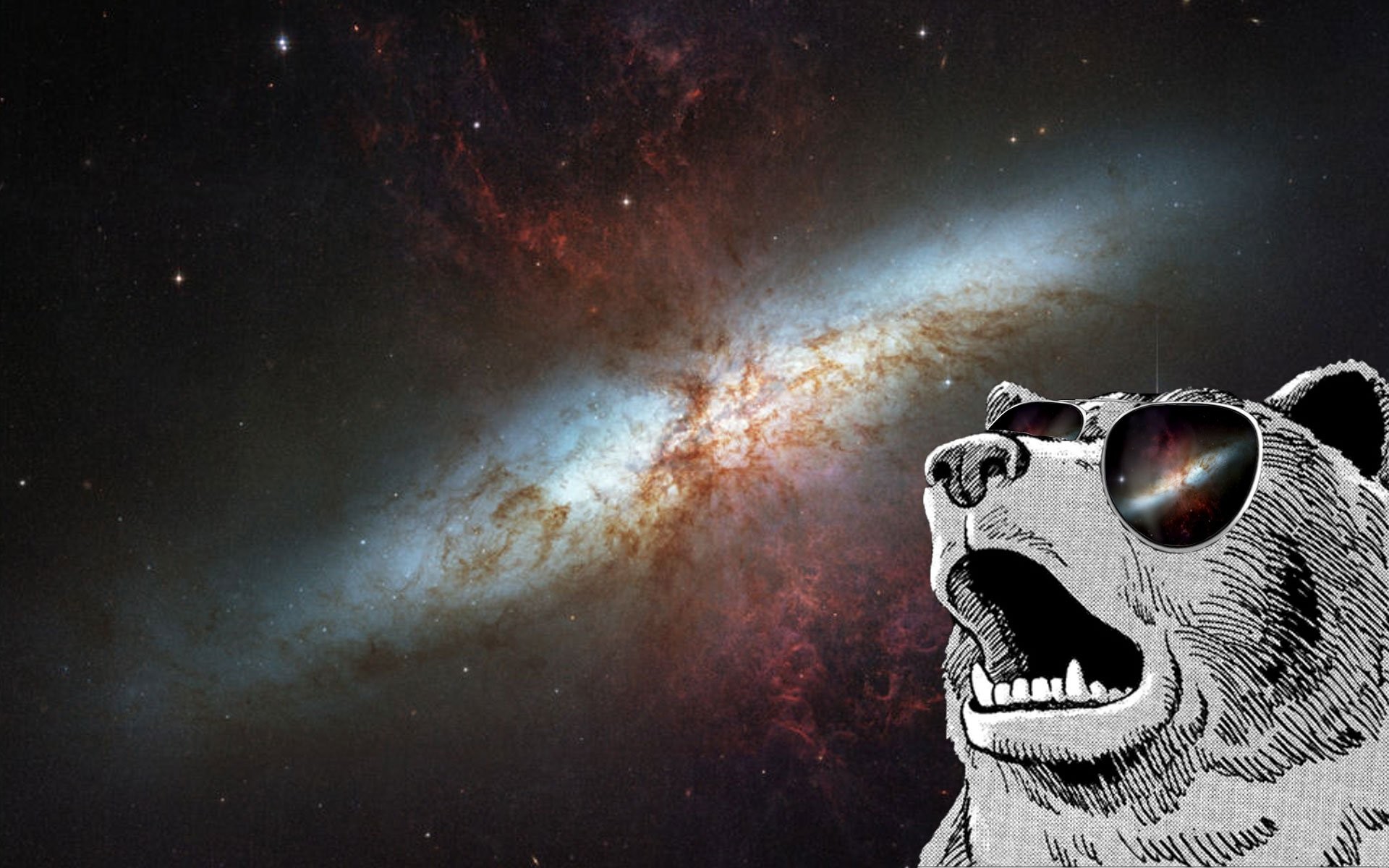 Bear wearing sunglasses with galaxy reflection in front of Messier 82 HD Wallpaper