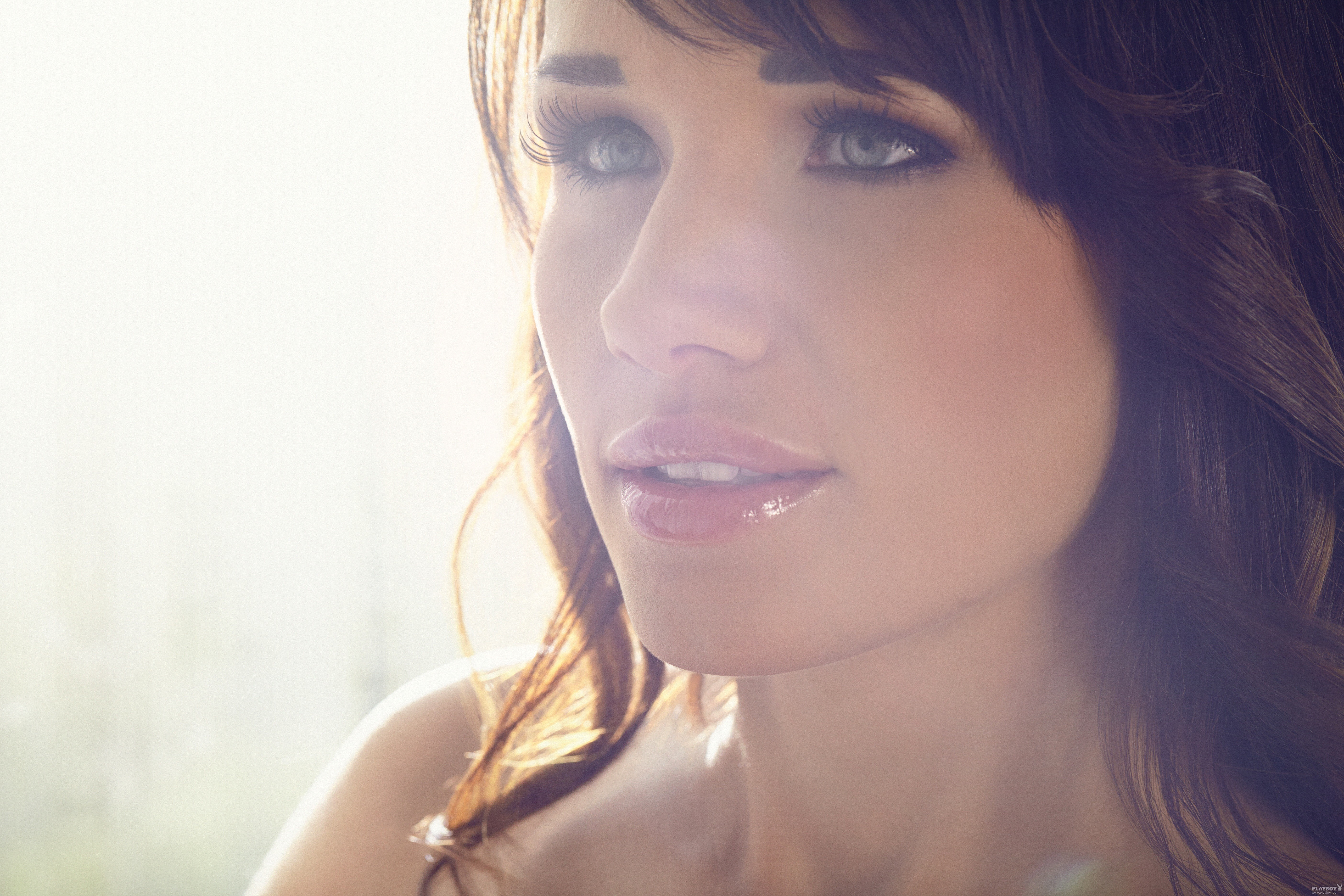Playboy model with brunette hair and gray eyes HD Wallpaper