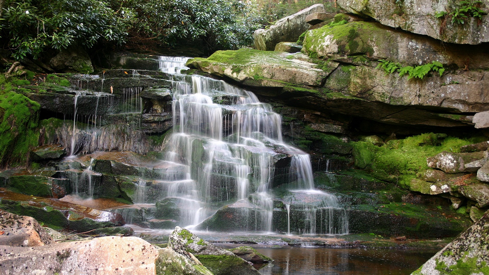 Waterfall cascading over moss-covered rocks in a forest HD Wallpaper