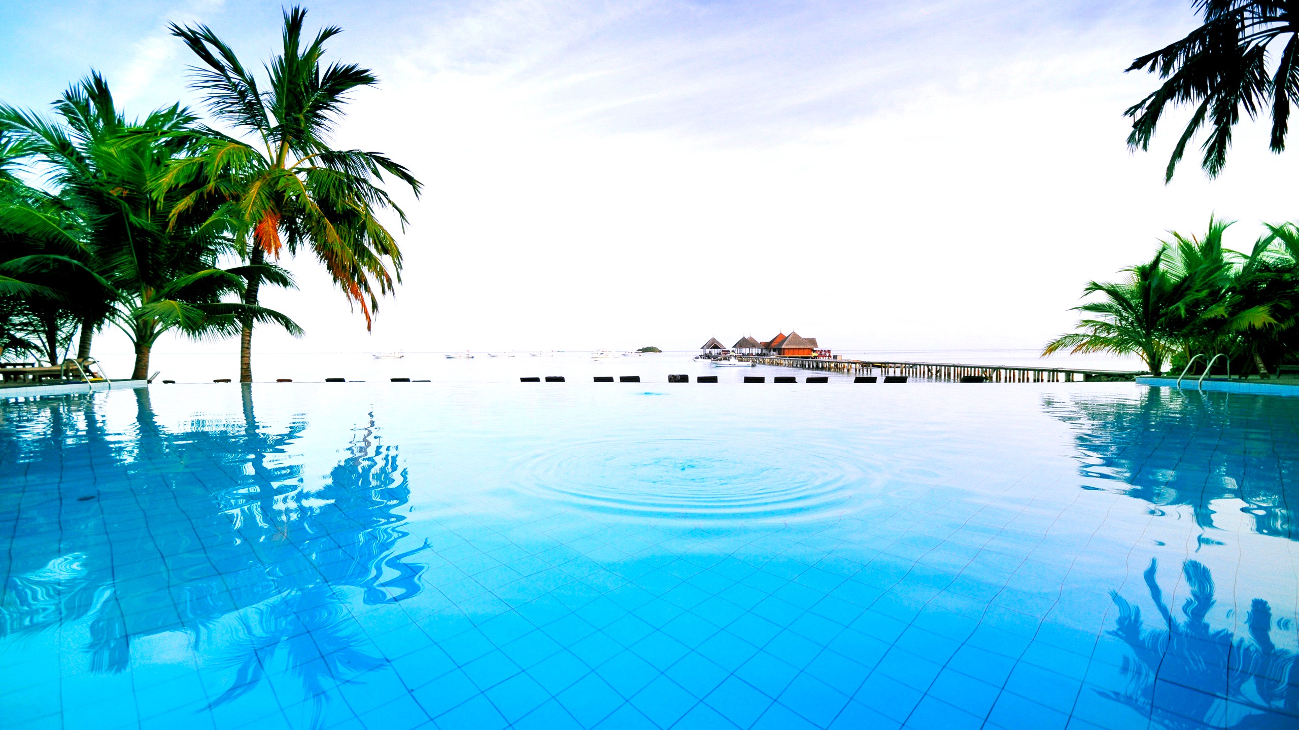 Infinity pool overlooking tropical ocean with palm trees HD Wallpaper