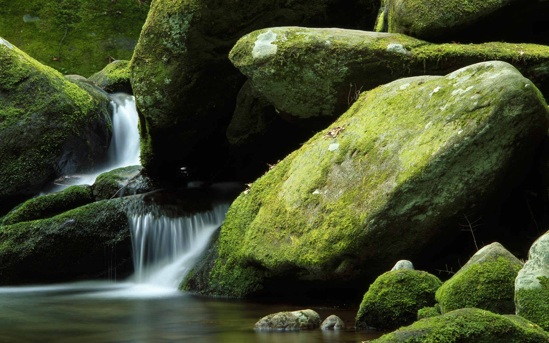 Moss-covered rocks and a waterfall in a forest HD Wallpaper