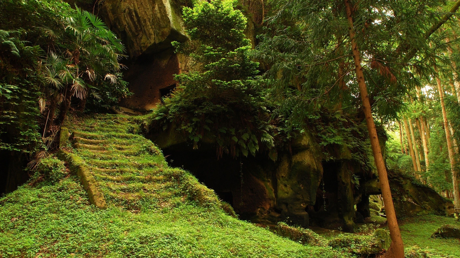 Overgrown mossy stairs leading to a cave entrance in a forest HD Wallpaper