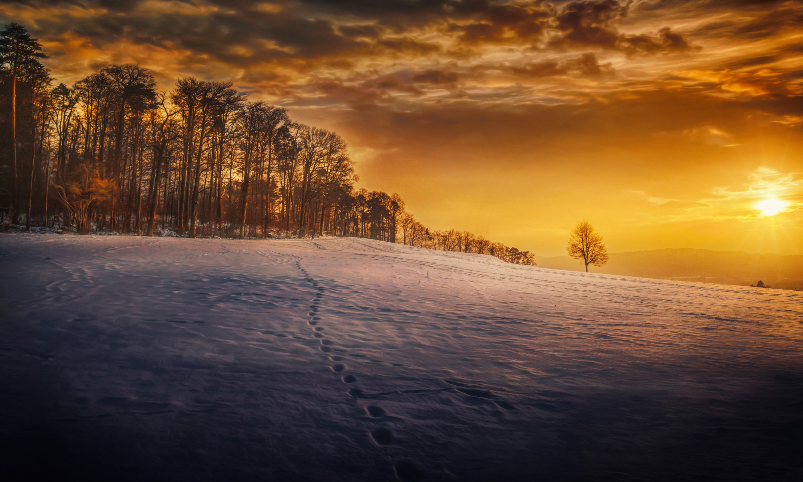 Winter landscape with footprints in the snow at sunset HD Wallpaper