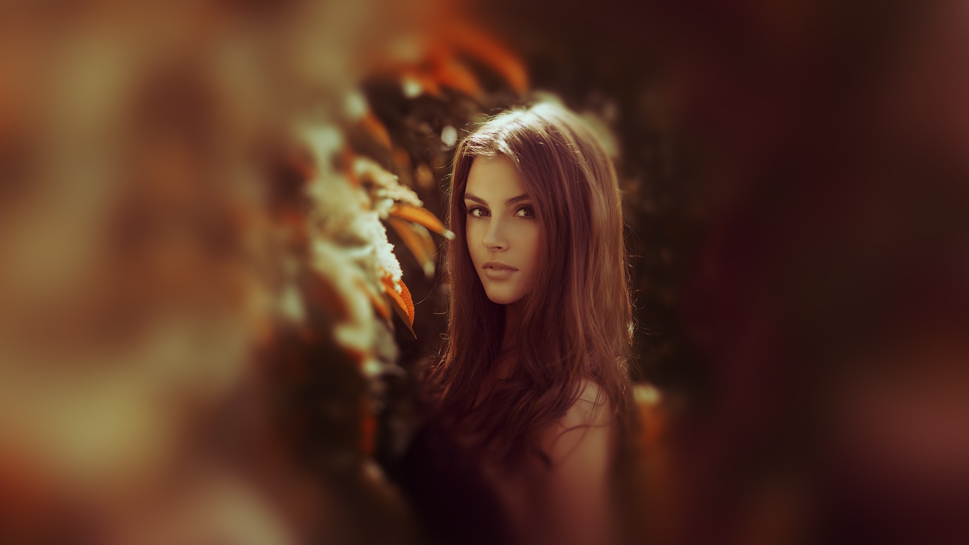 Brunette model with long brown hair outdoors HD Wallpaper