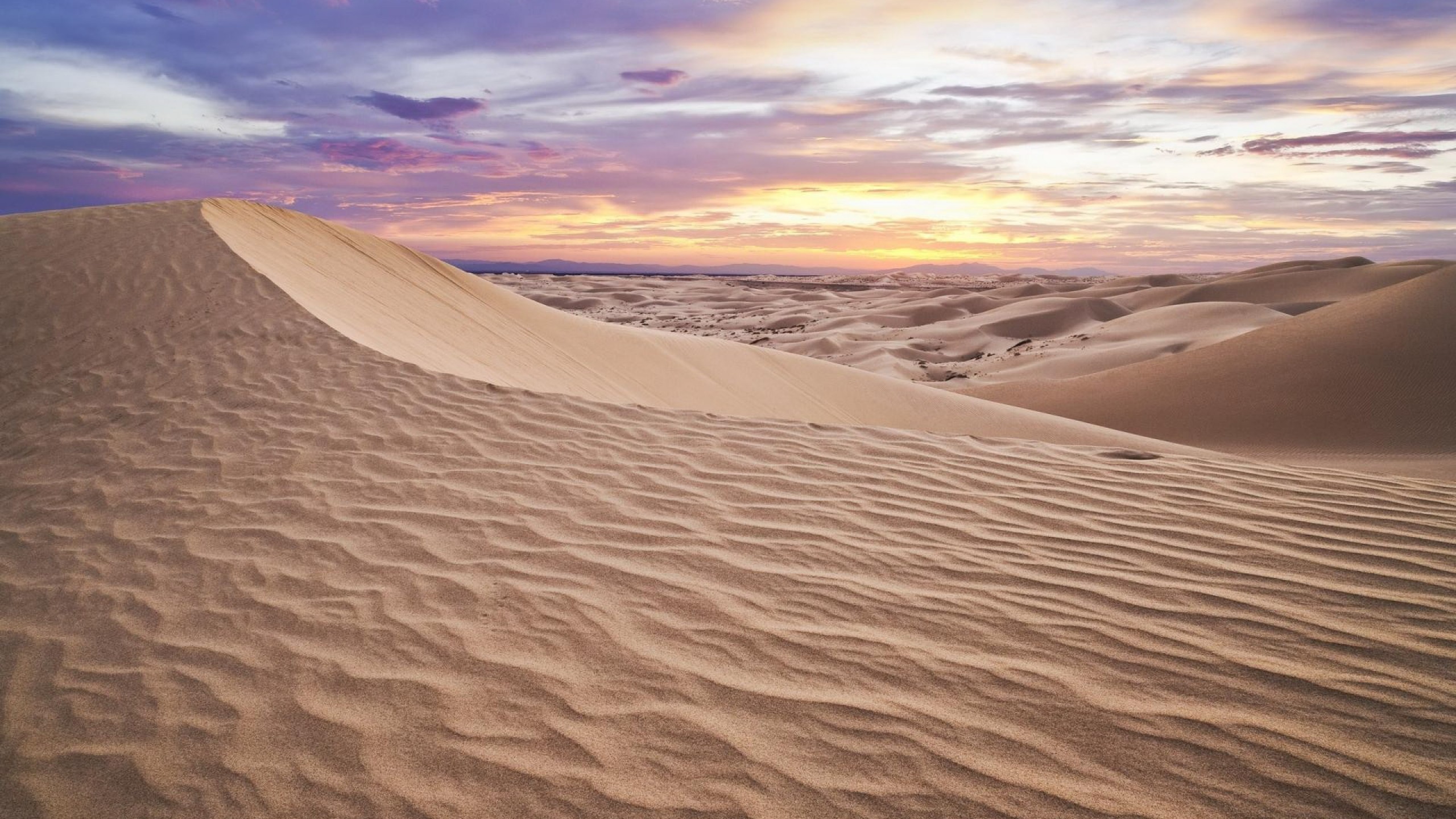 Desert landscape with sand dunes at sunset HD Wallpaper