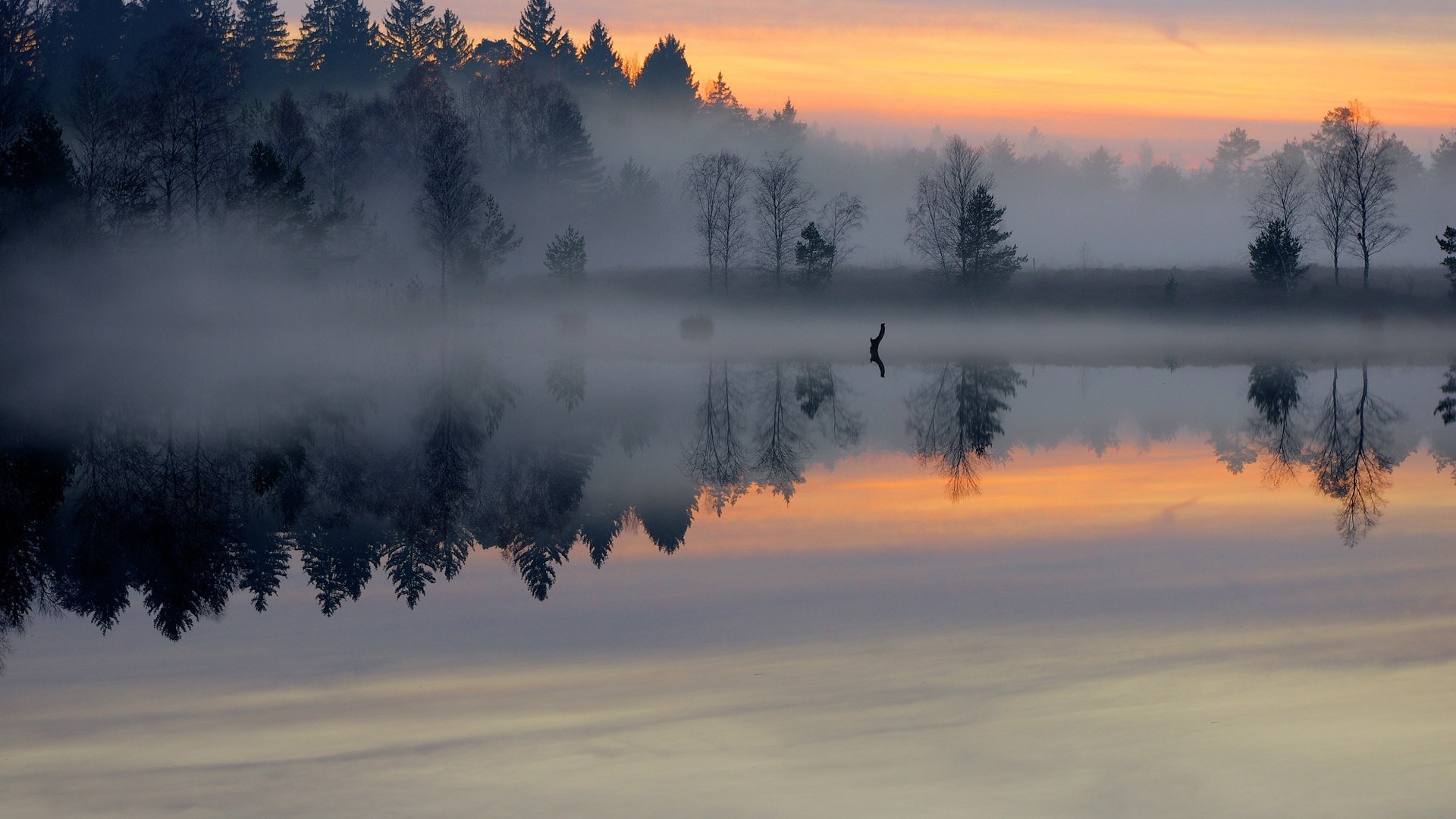 Misty lake reflection at sunrise with forest HD Wallpaper