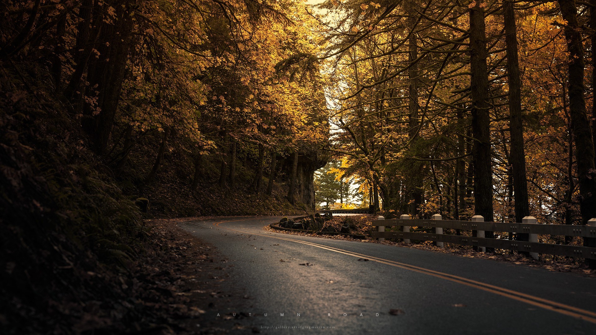 Autumn road winding through a forest HD Wallpaper
