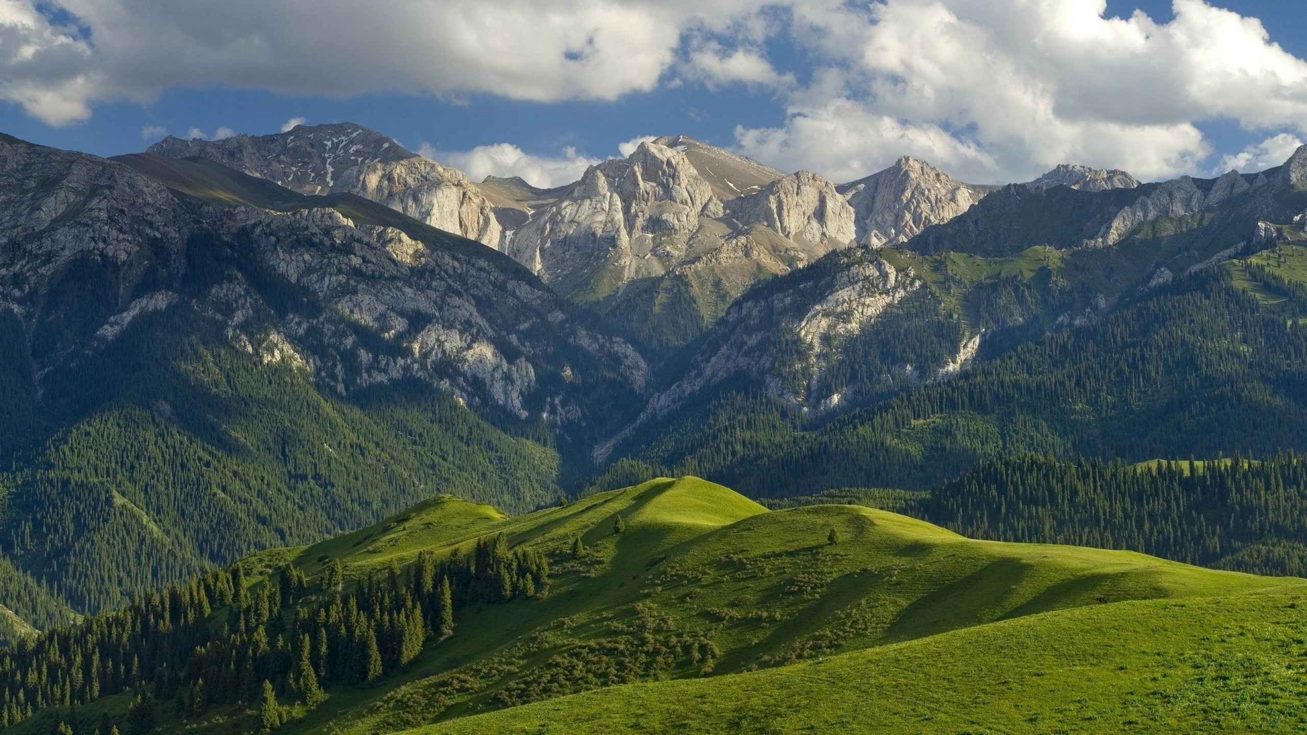 Green rolling hills and majestic mountains under a cloudy sky HD Wallpaper