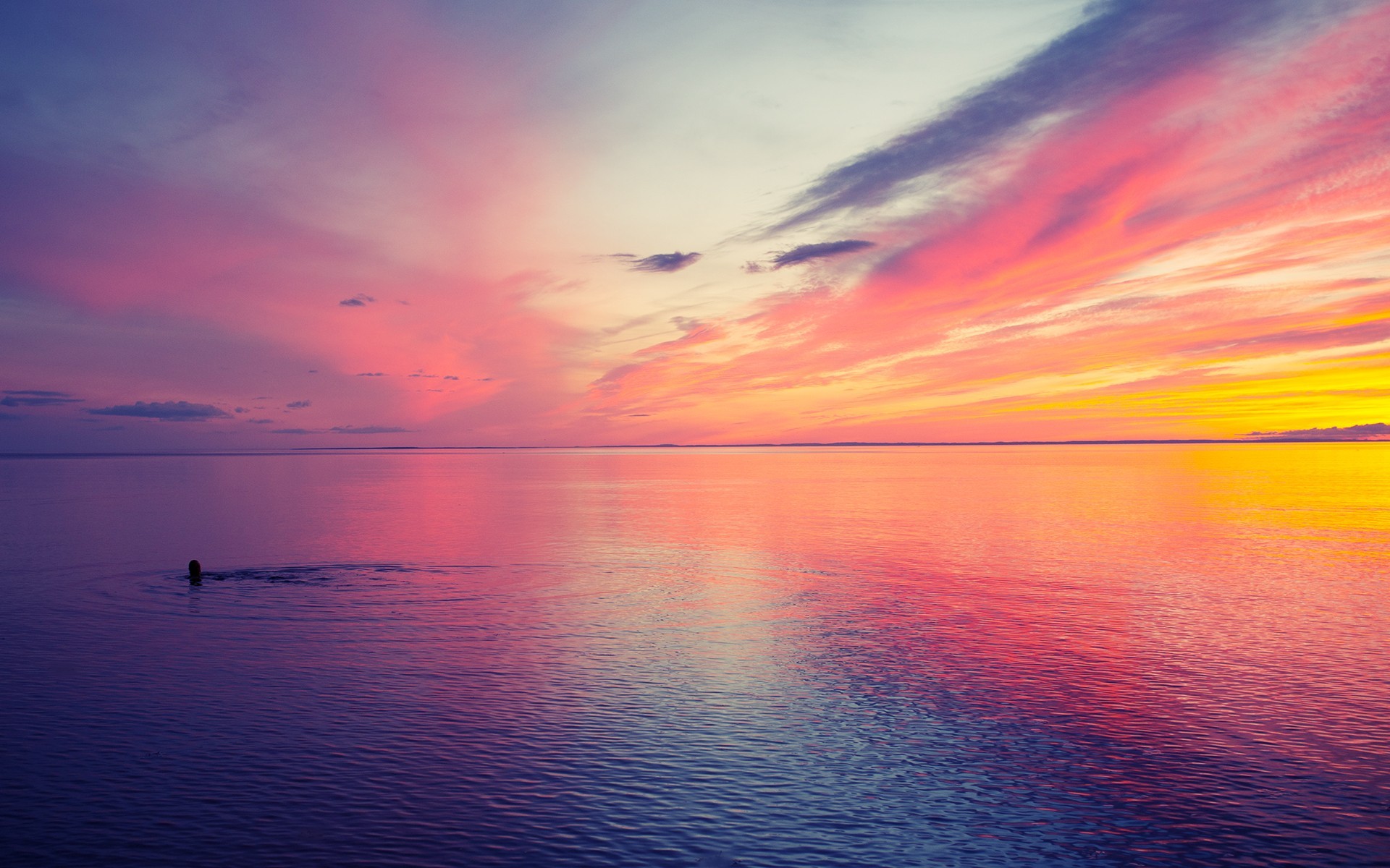 Person swimming in the sea during sunset HD Wallpaper