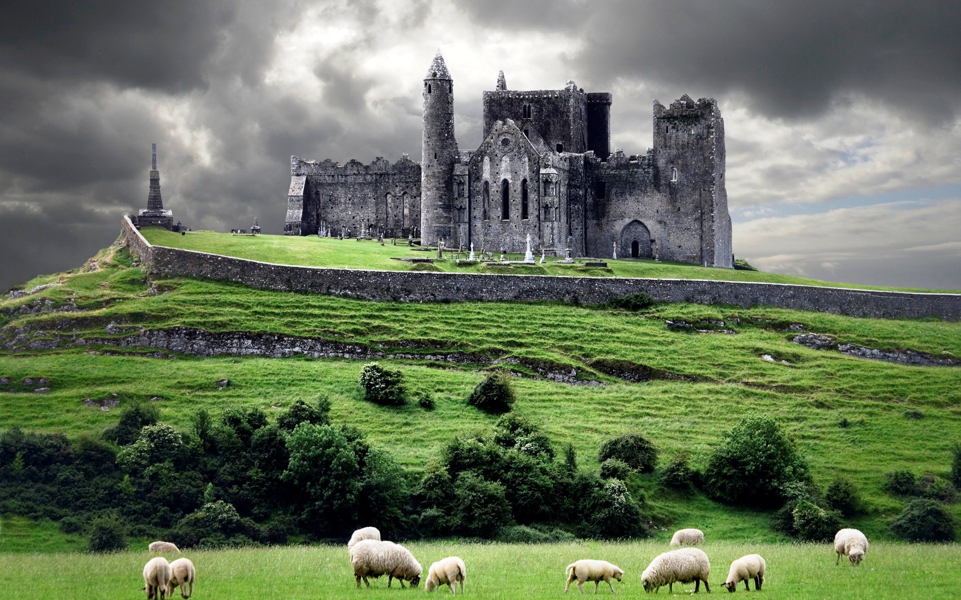 Rock of Cashel castle and sheep in Ireland HD Wallpaper