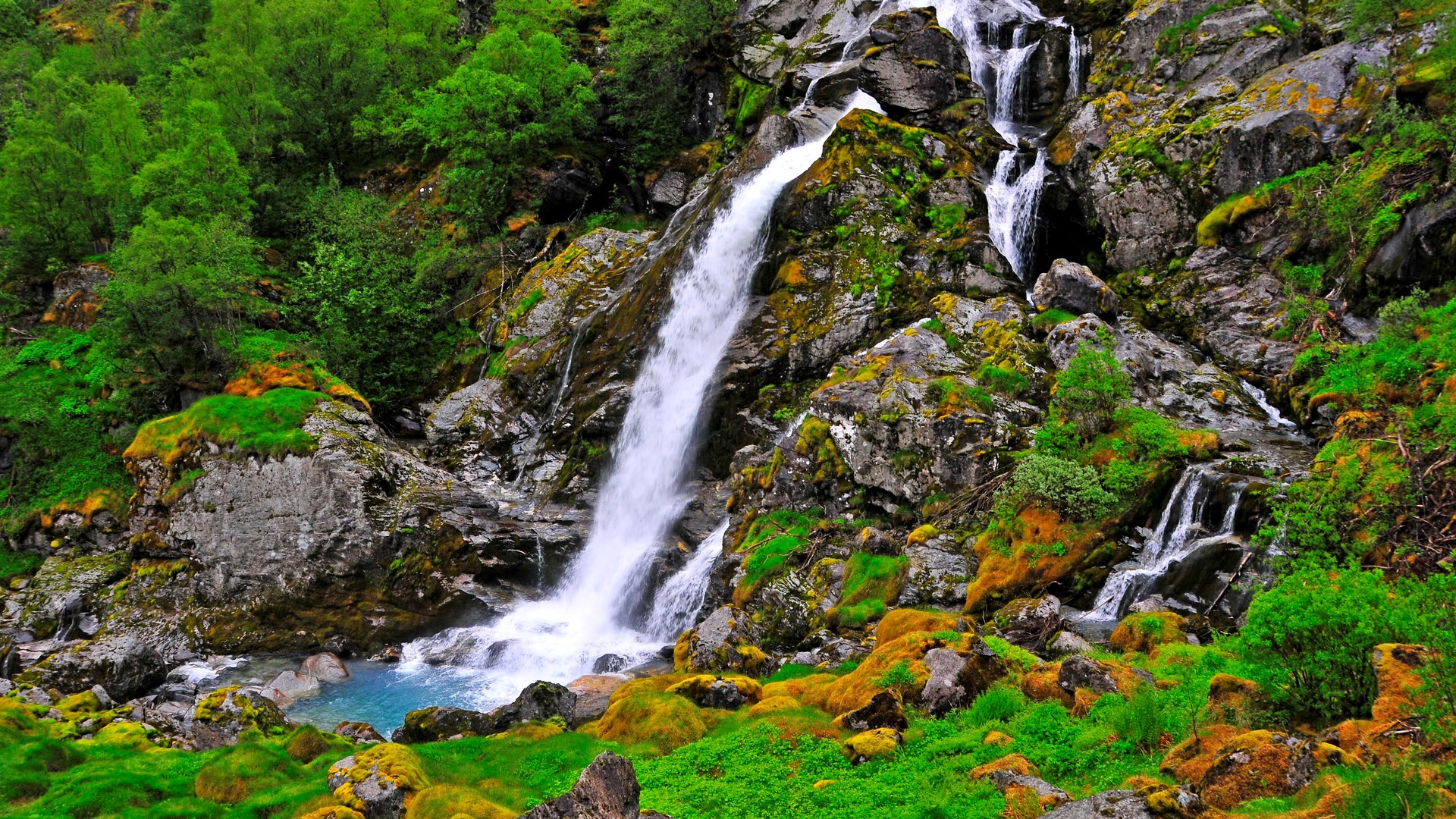 Waterfall cascading down mossy rocks in a forest HD Wallpaper