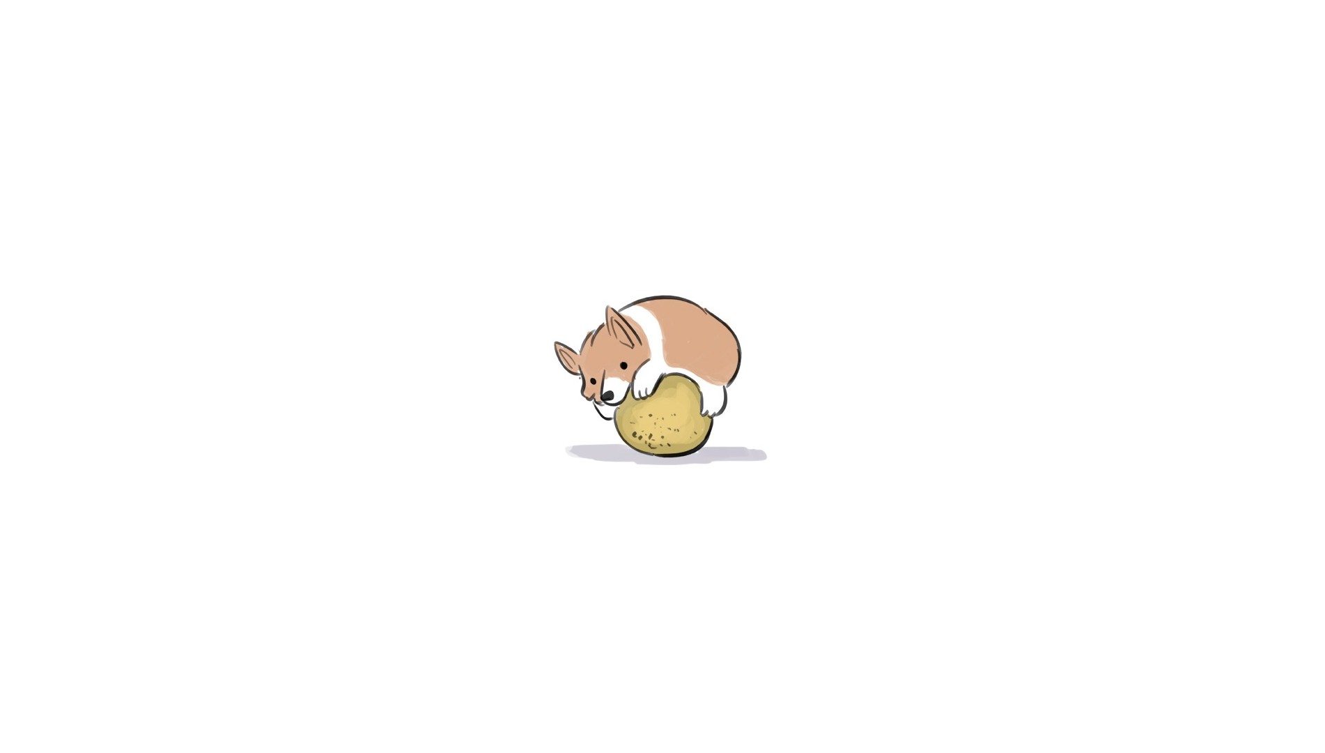 artwork, Corgi, humor, dog, white background, Pembroke Welsh Corgis, animals, minimalism HD Wallpaper