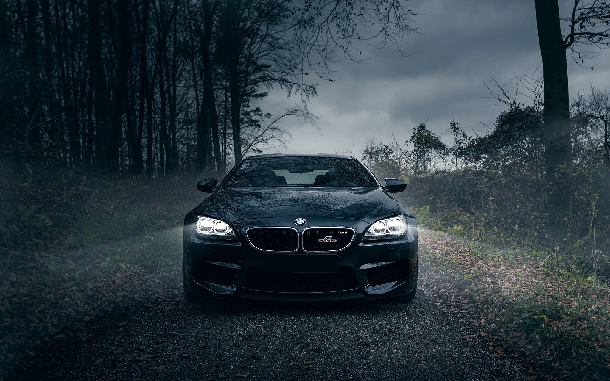Black BMW M6 AC Schnitzer in a foggy forest HD Wallpaper