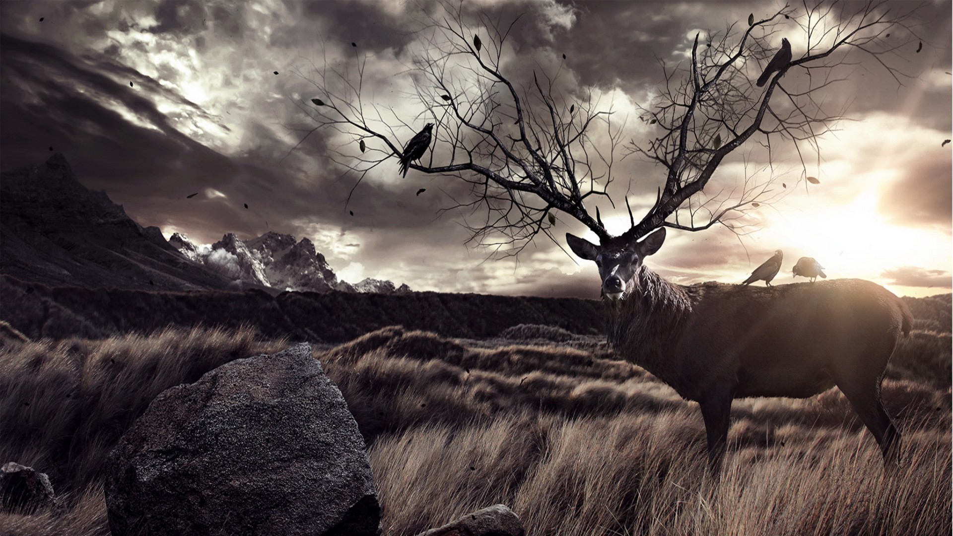 Fantasy art of a deer with tree antlers and birds HD Wallpaper