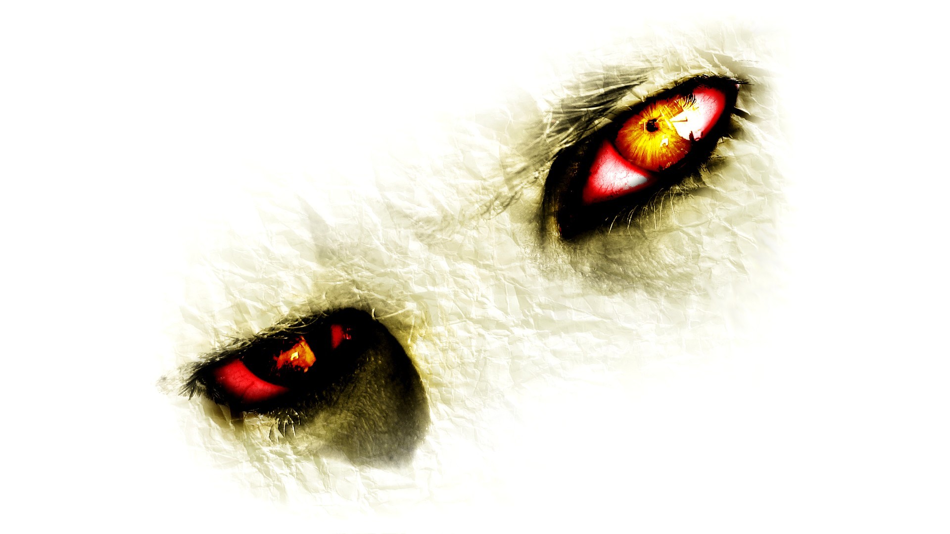 Close up of creature eyes with red and yellow irises HD Wallpaper