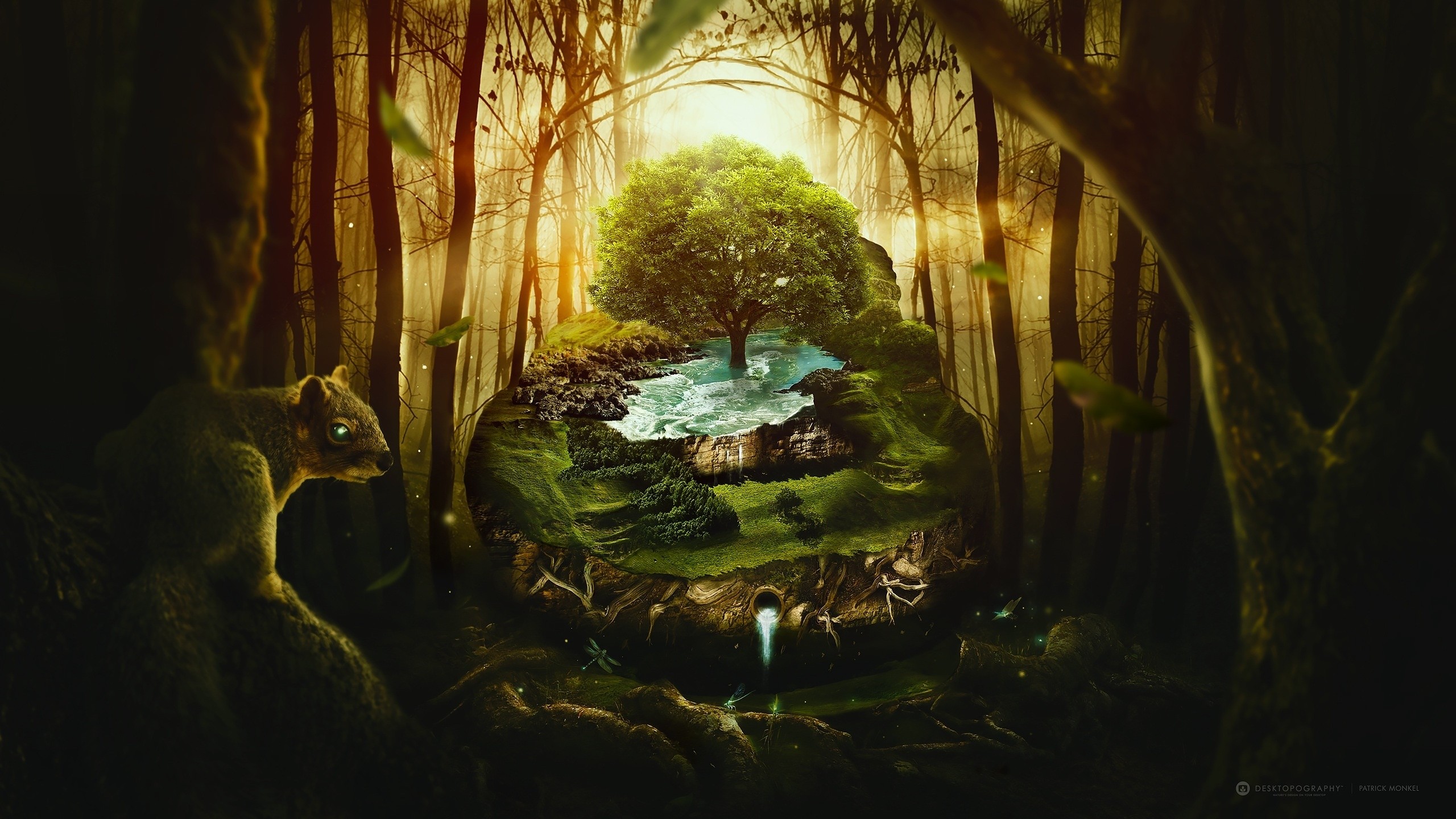 Fantasy forest with a floating island and a squirrel HD Wallpaper