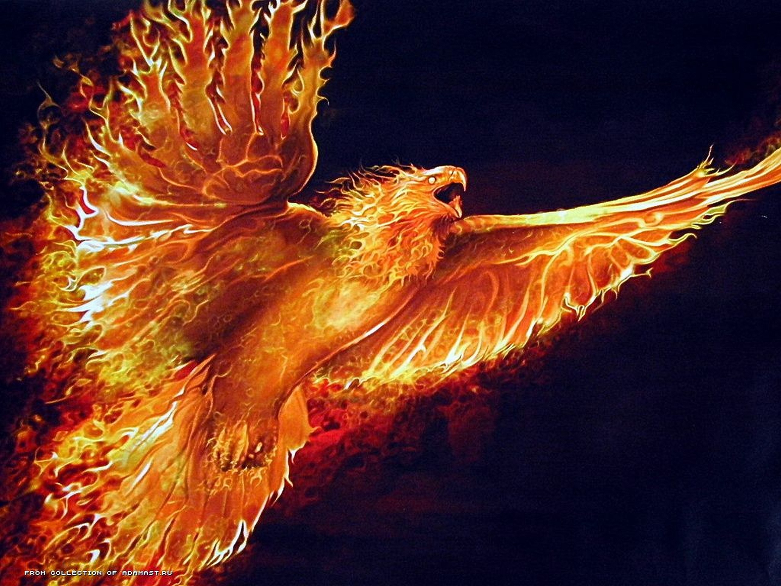 A phoenix made of fire in flight HD Wallpaper