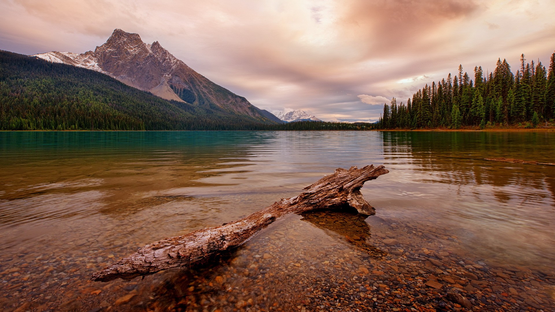 Lake with mountains, forest, and a log in the foreground HD Wallpaper