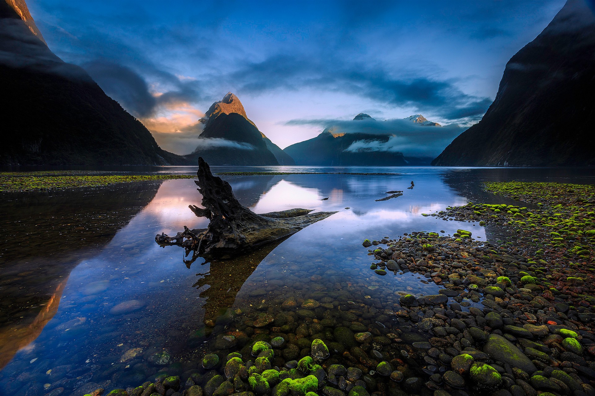 Milford Sound, New Zealand Landscape with Mountains and Reflection HD Wallpaper