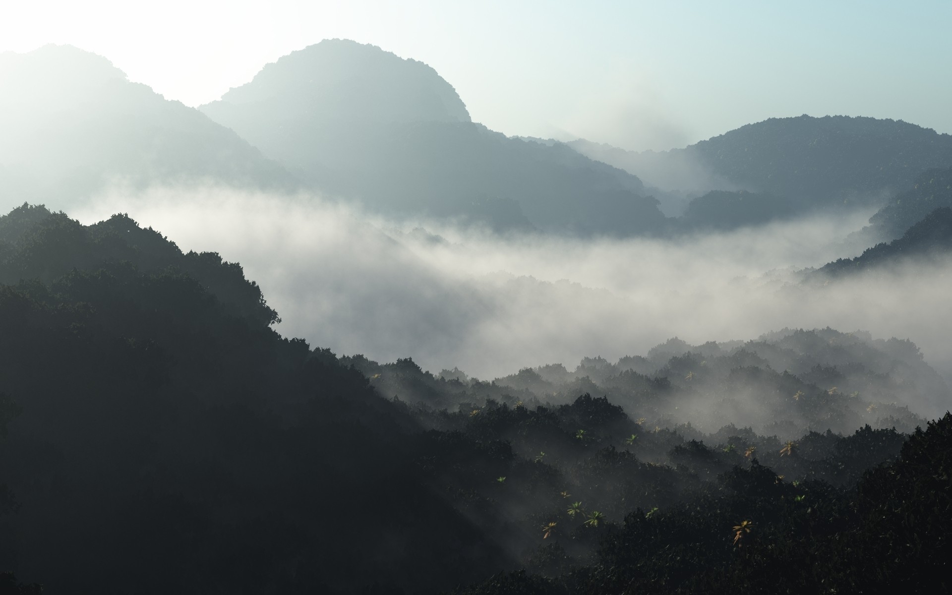 Misty mountains and forest landscape HD Wallpaper