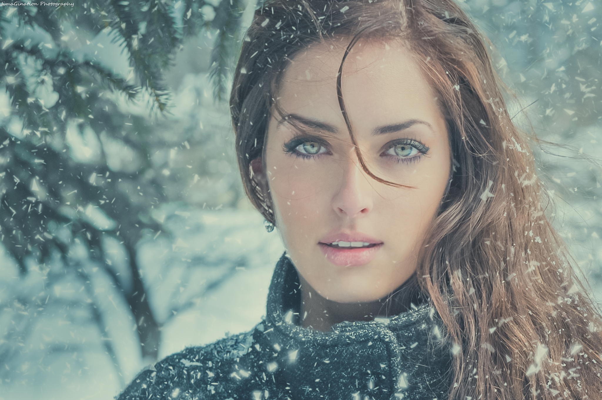Woman in Snow with Pine Trees HD Wallpaper
