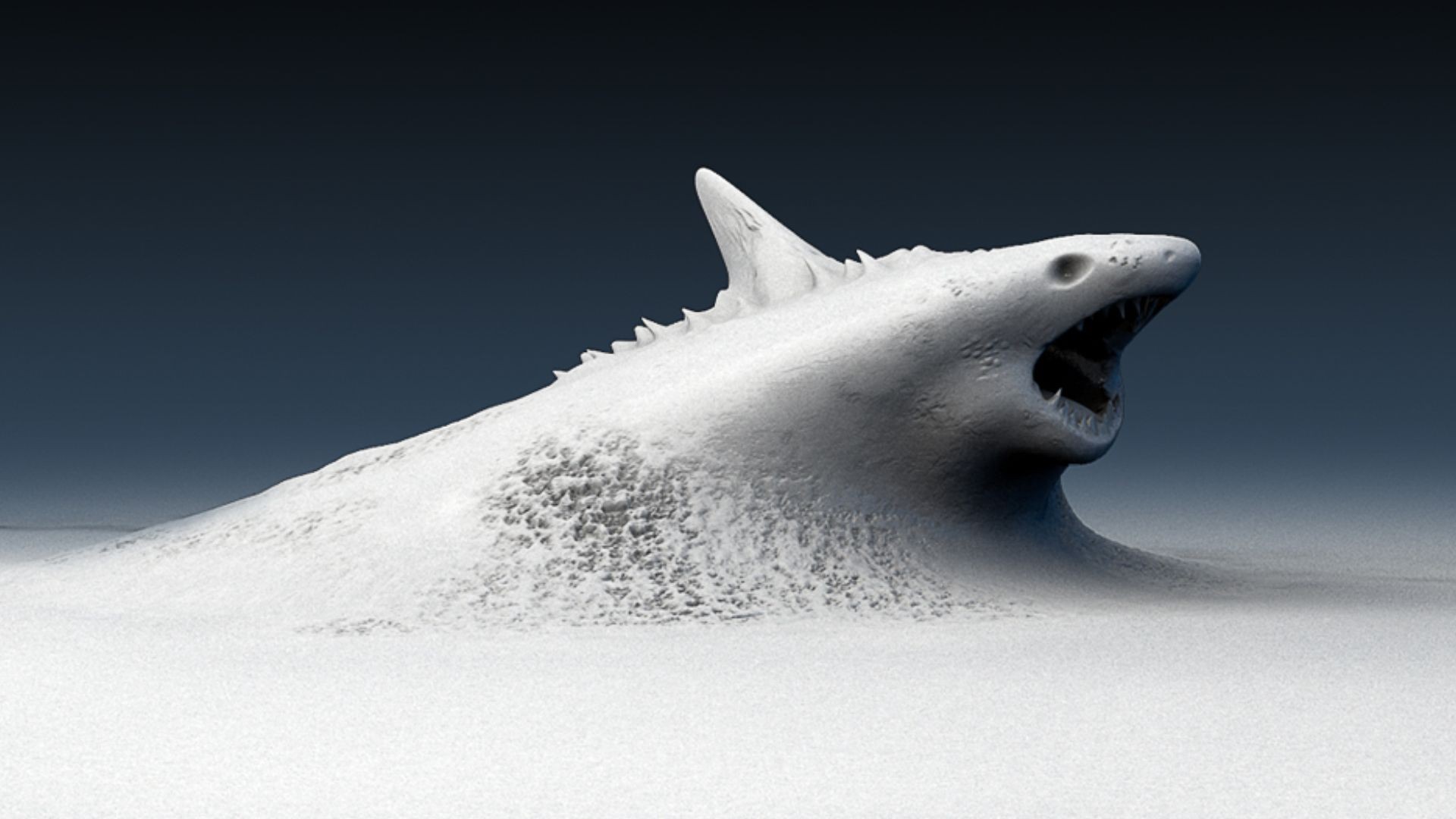 A shark emerging from snow HD Wallpaper