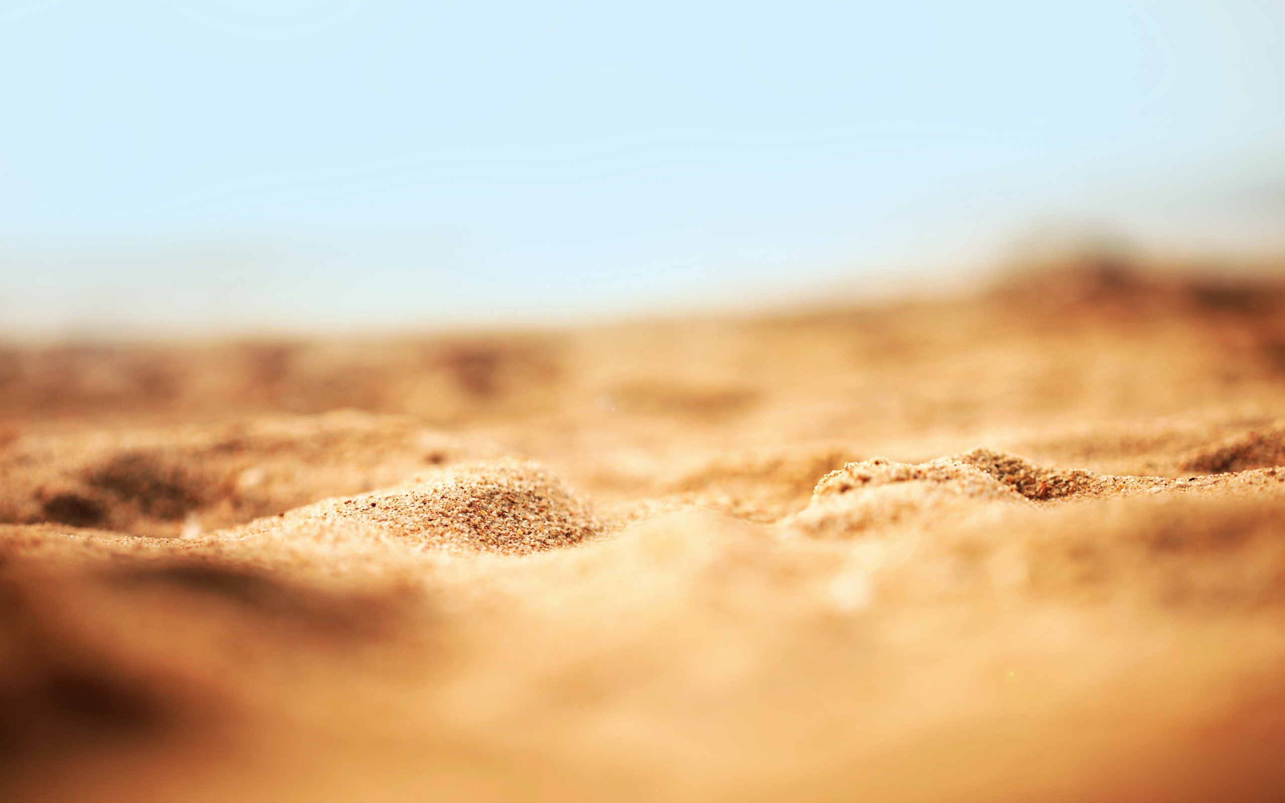 Close-up of sand with shallow depth of field HD Wallpaper