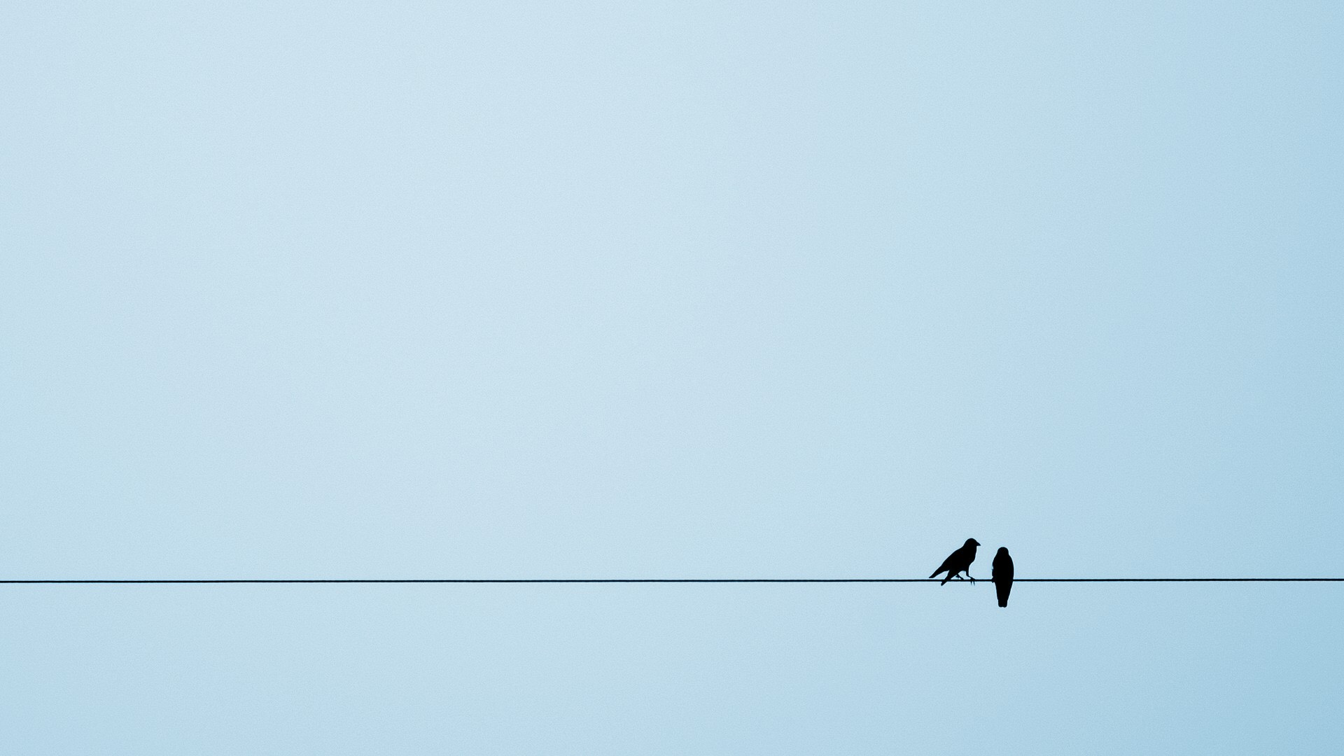 Two birds silhouetted on a wire against a clear sky HD Wallpaper