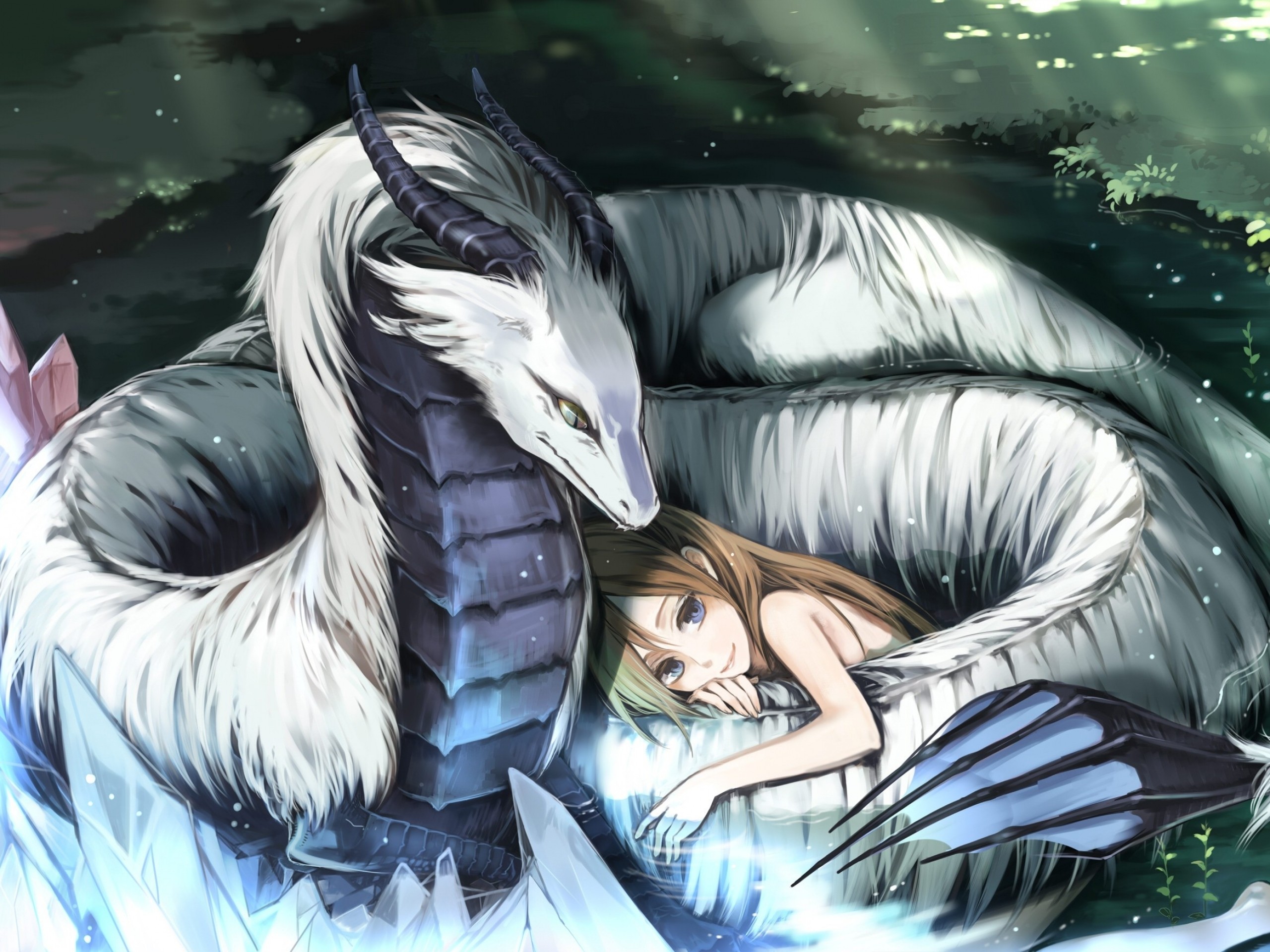 Anime girl resting with a white dragon HD Wallpaper