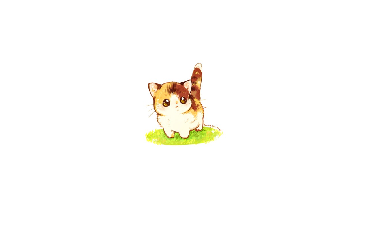 Cute calico kitten standing on grass HD Wallpaper