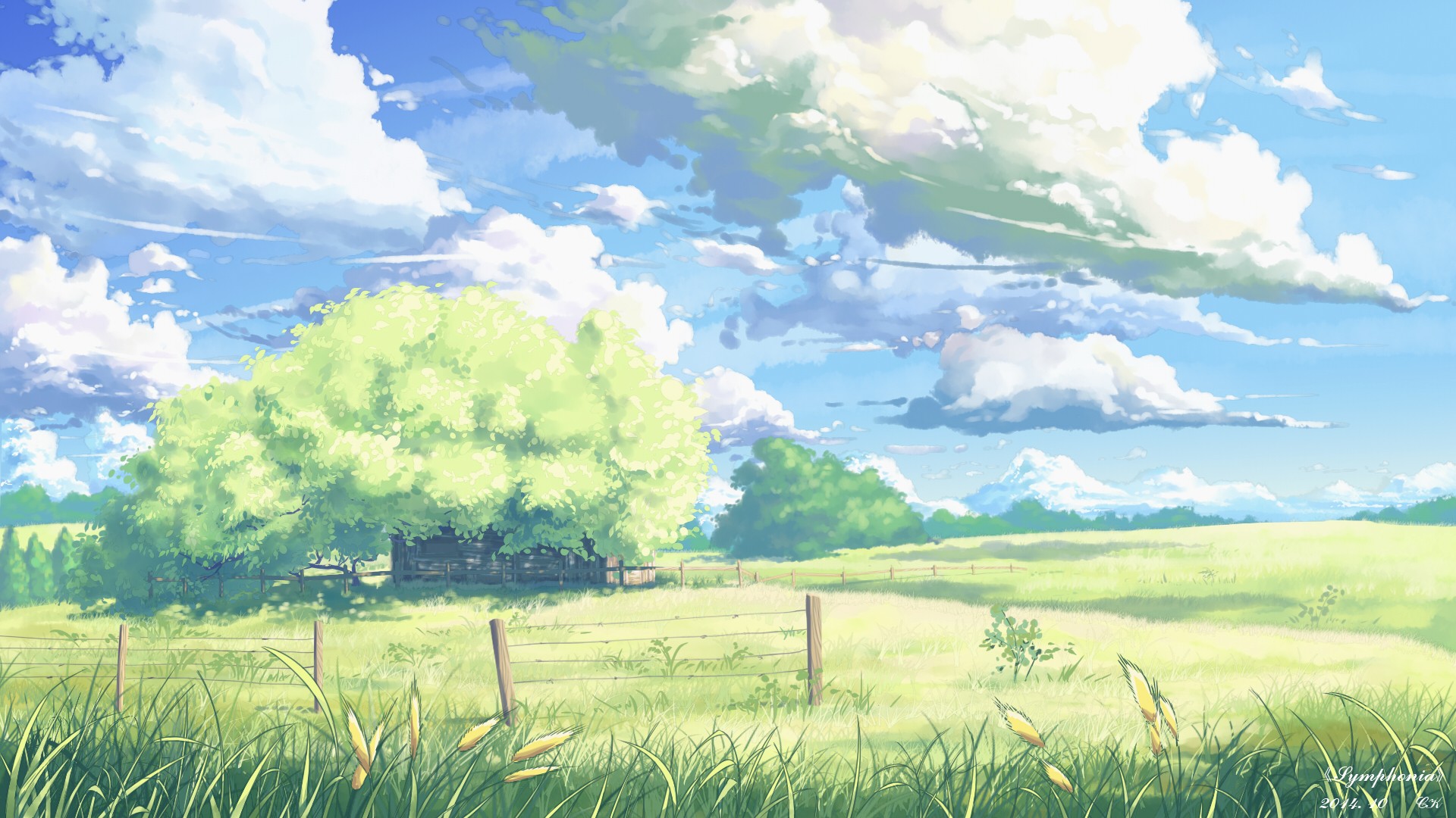 Anime landscape with a large tree and clouds HD Wallpaper