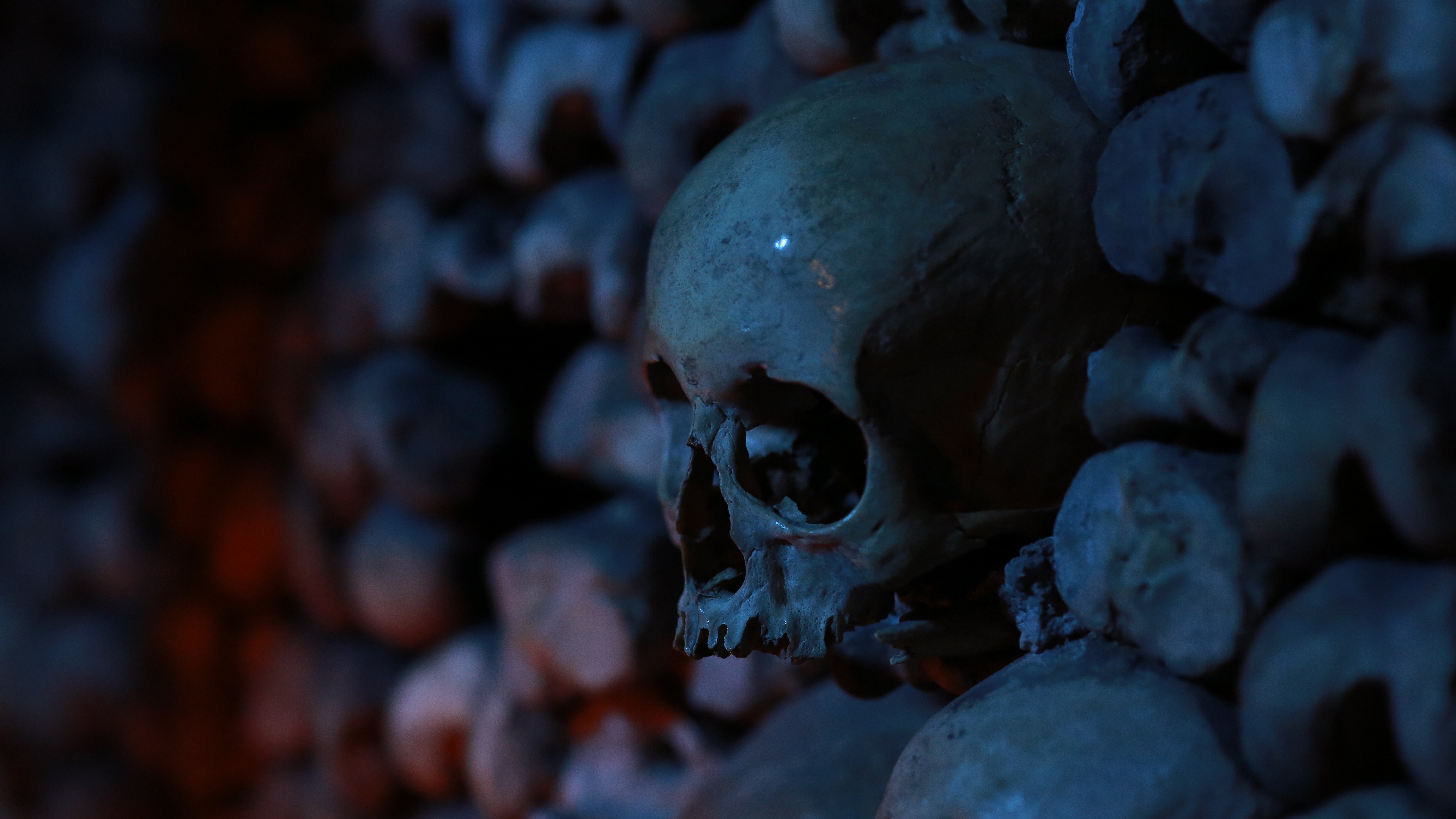 Wall of skulls and bones in a dark setting HD Wallpaper