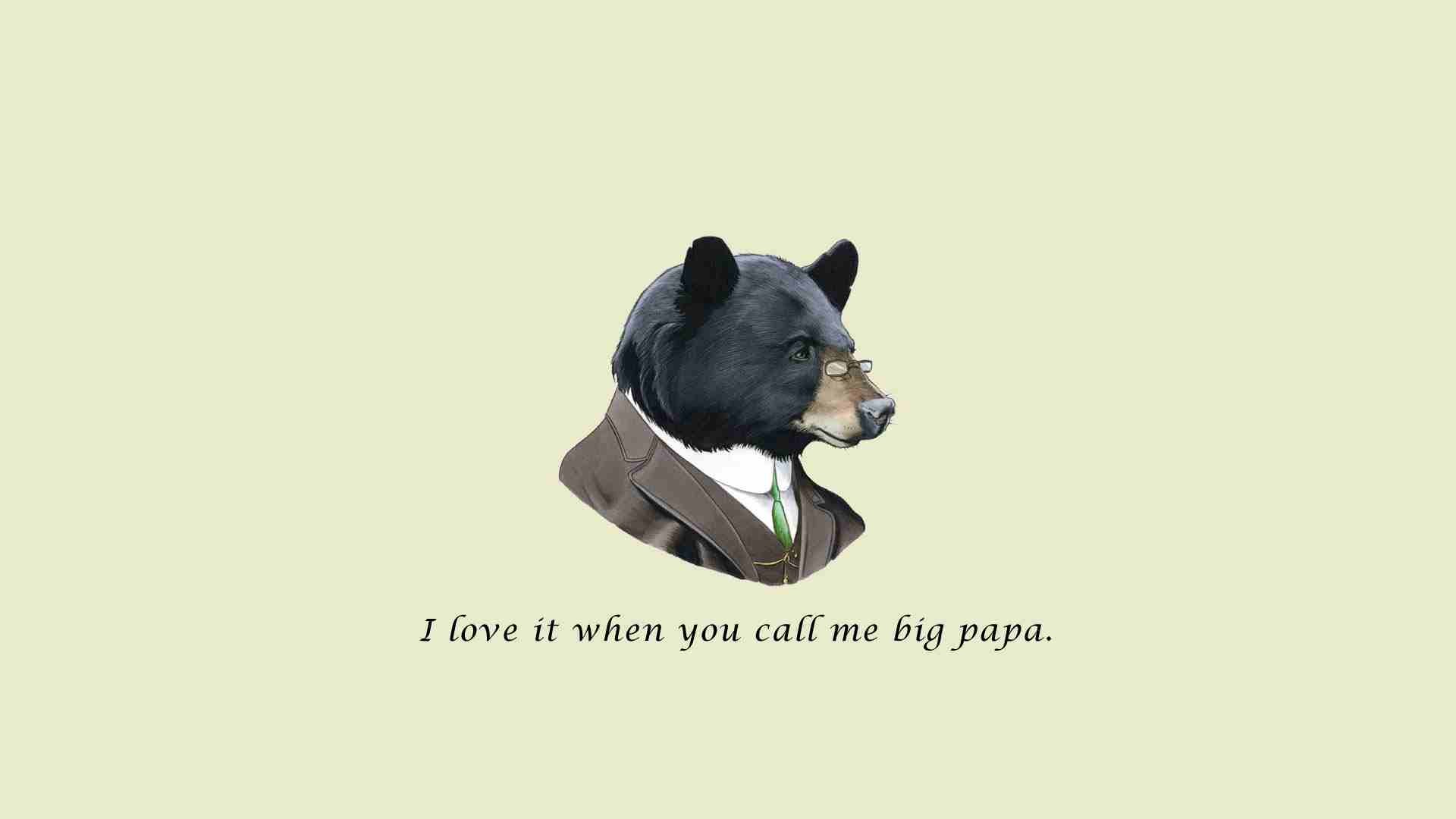 Bear in a suit with quote HD Wallpaper