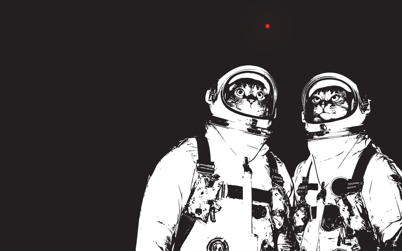 Two cats in astronaut suits looking up HD Wallpaper