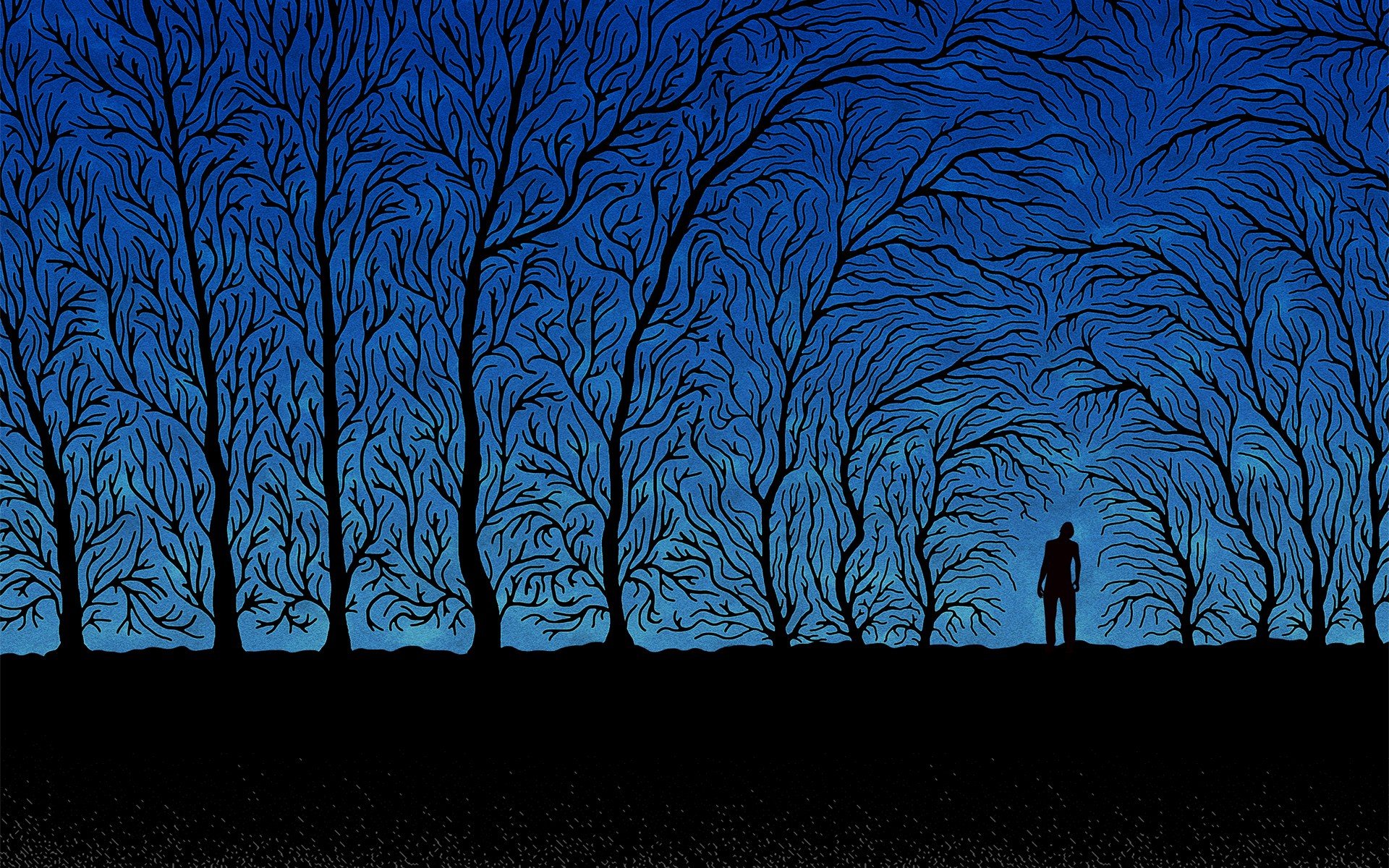 Silhouette of a man in a forest at night HD Wallpaper