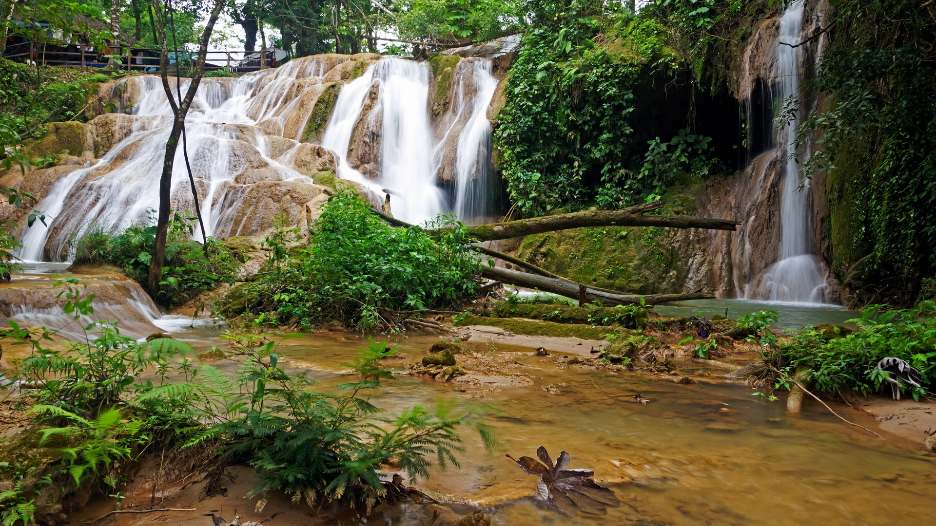 Cascading waterfalls in a lush jungle setting HD Wallpaper
