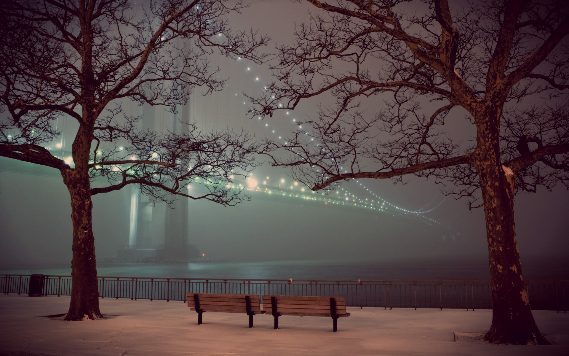 Winter night scene with bridge and bare trees HD Wallpaper