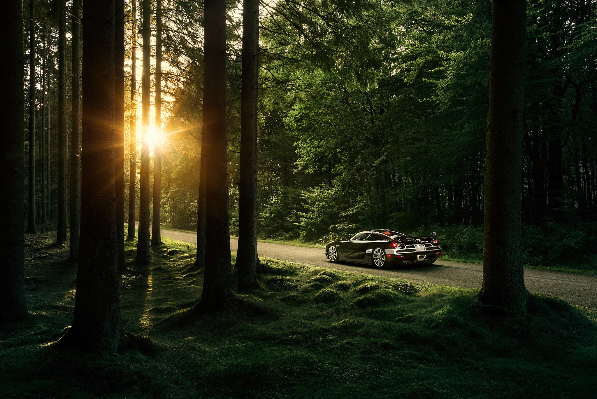 Koenigsegg CCXR driving on a forest road at sunset HD Wallpaper
