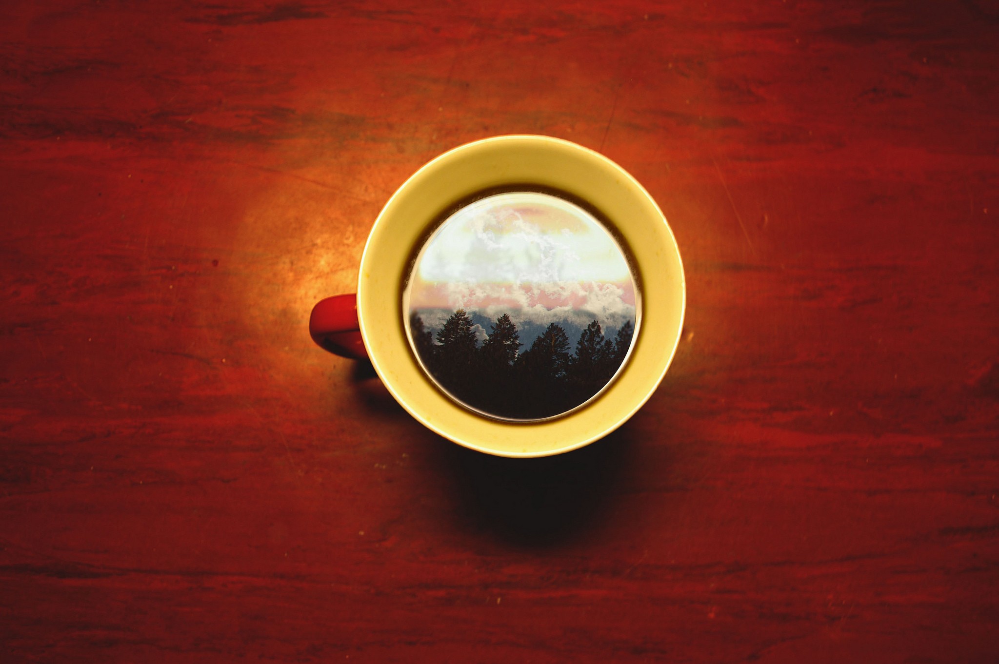 Coffee cup with a forest and sky reflection HD Wallpaper