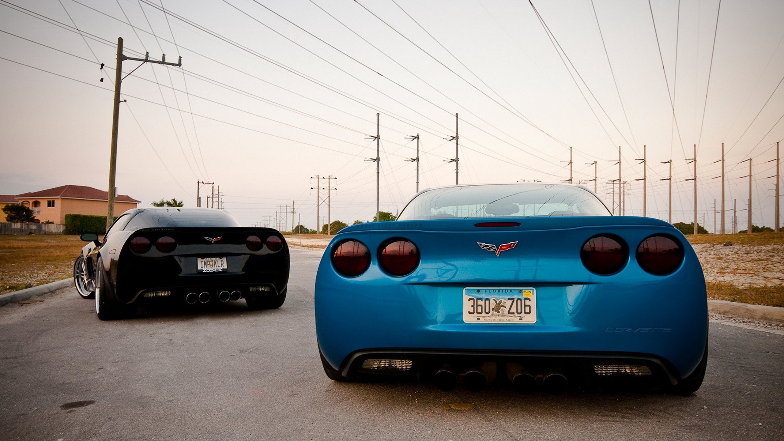 Two Chevrolet Corvettes parked on a road HD Wallpaper