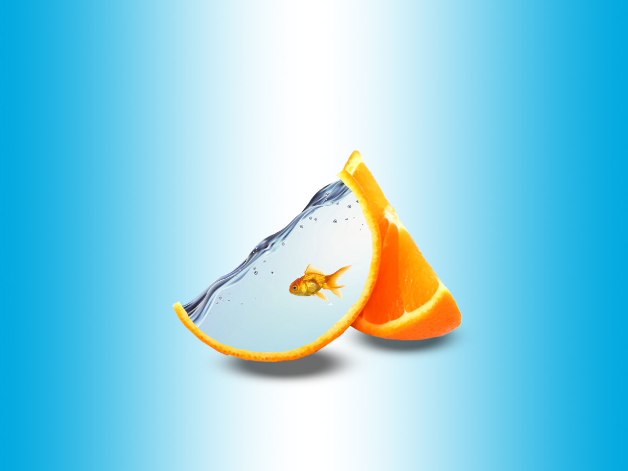 Goldfish swimming in orange slice aquarium HD Wallpaper