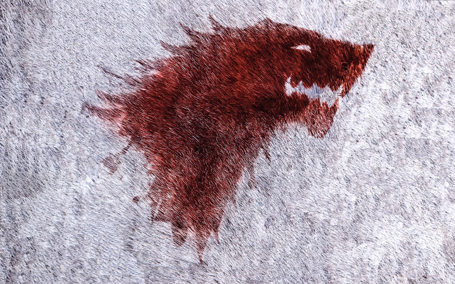 House Stark Direwolf Logo from Game of Thrones HD Wallpaper