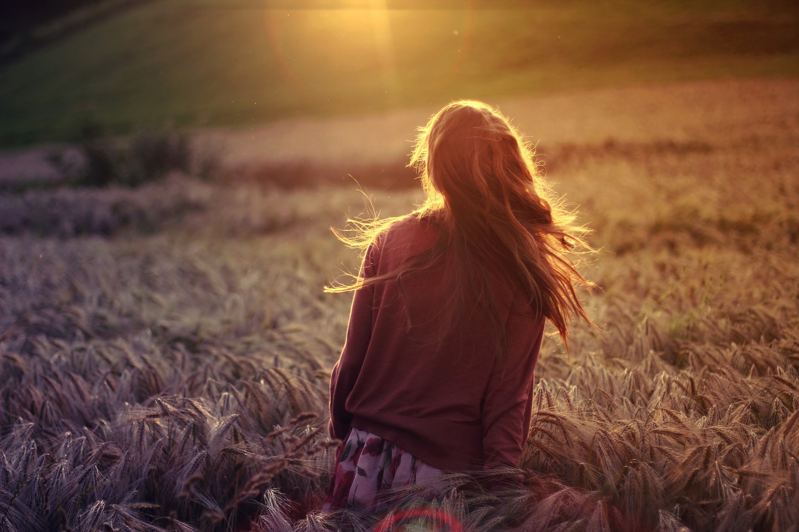 Woman with long hair in a field at sunset HD Wallpaper