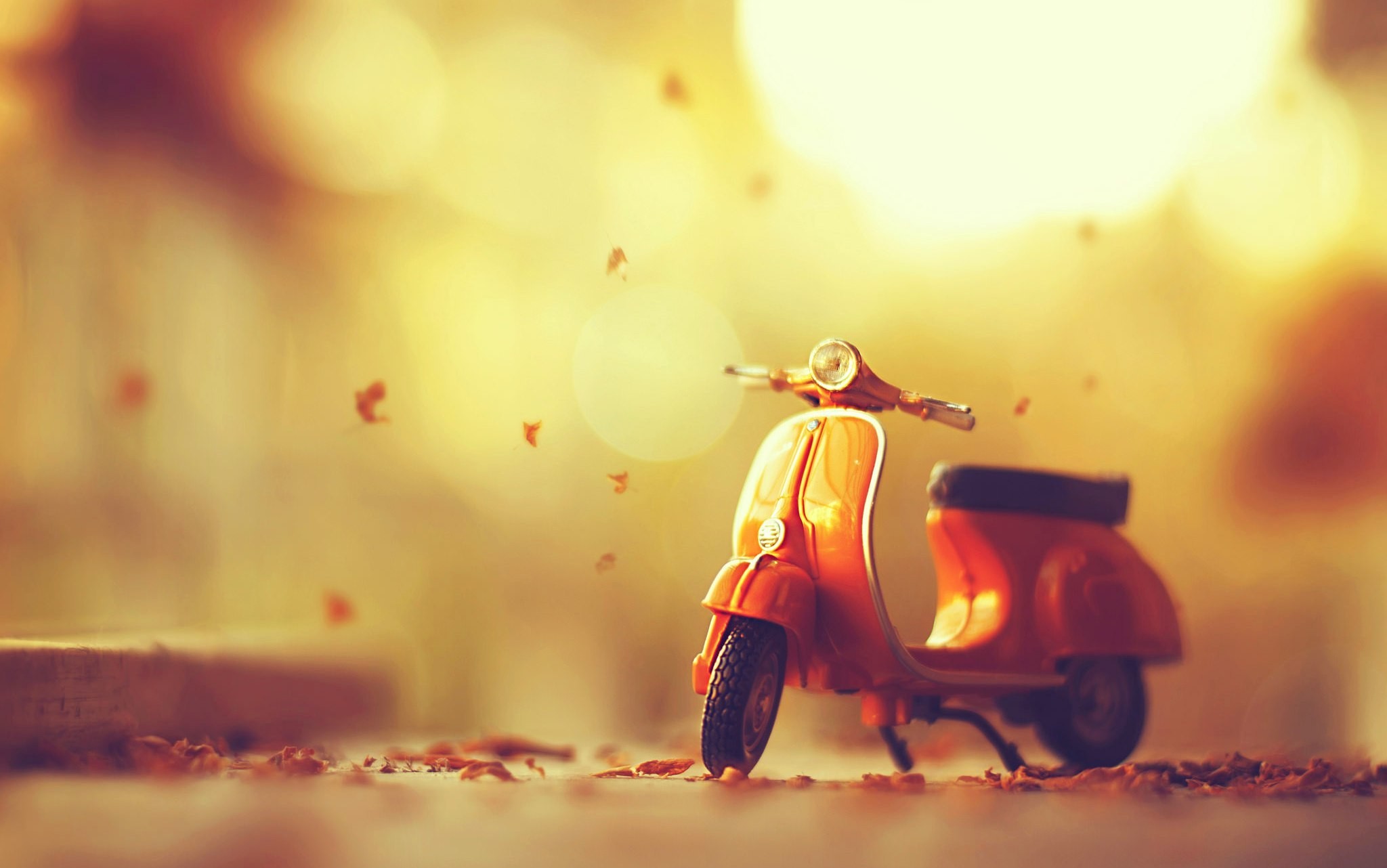 Orange toy Vespa scooter with fall leaves HD Wallpaper