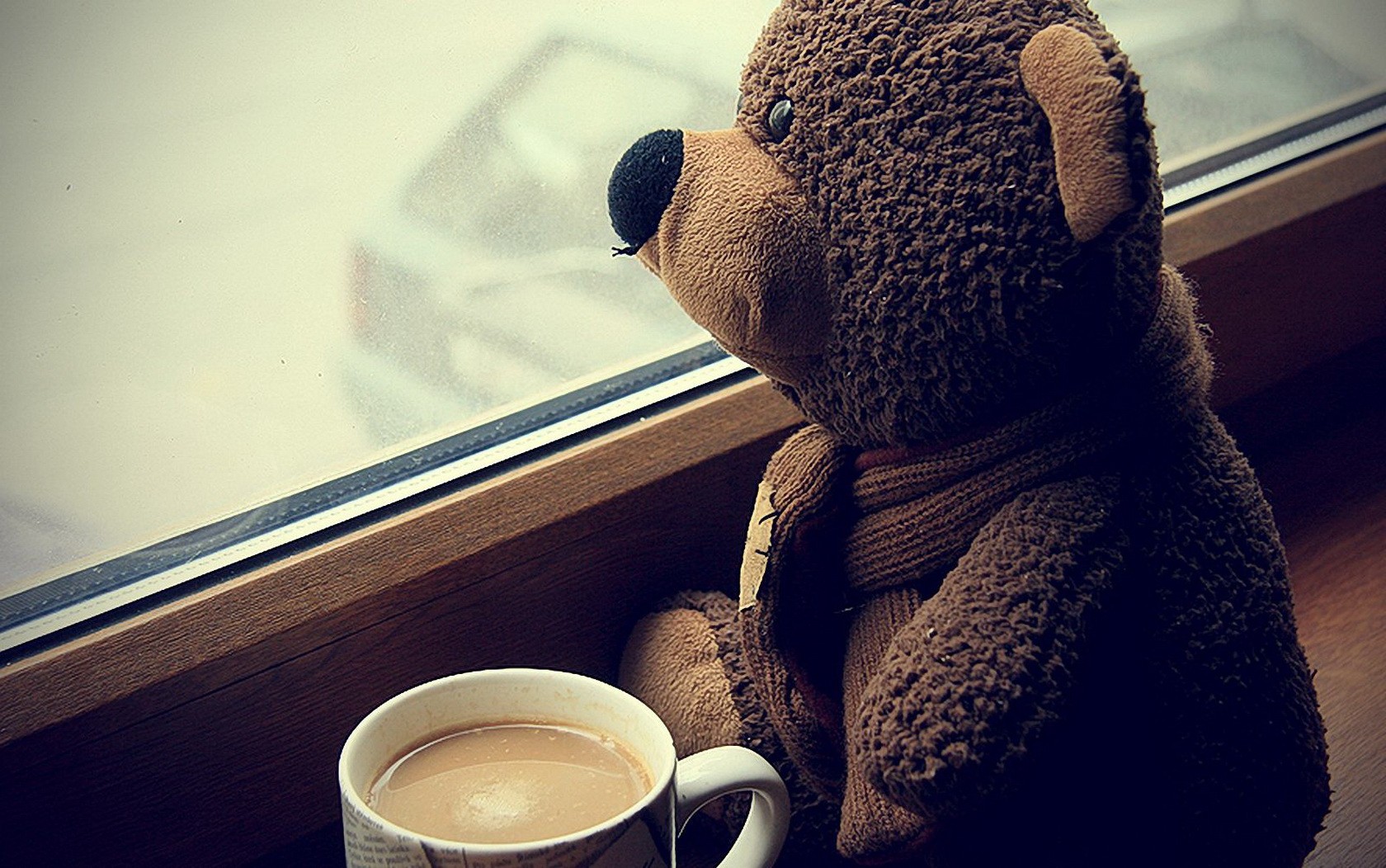 Teddy bear sitting by the window with a cup of coffee HD Wallpaper