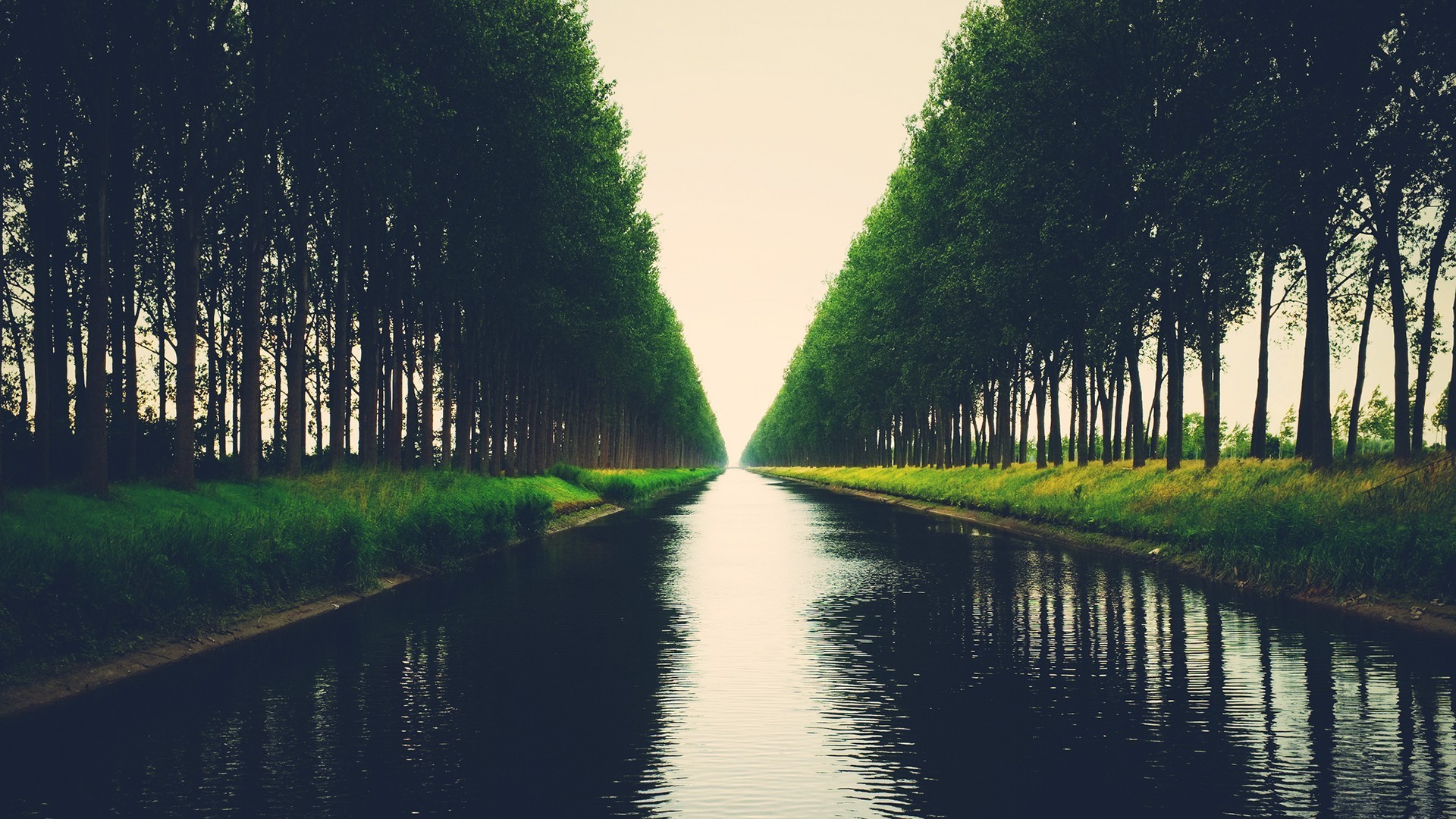 A canal lined with trees leading to the horizon HD Wallpaper