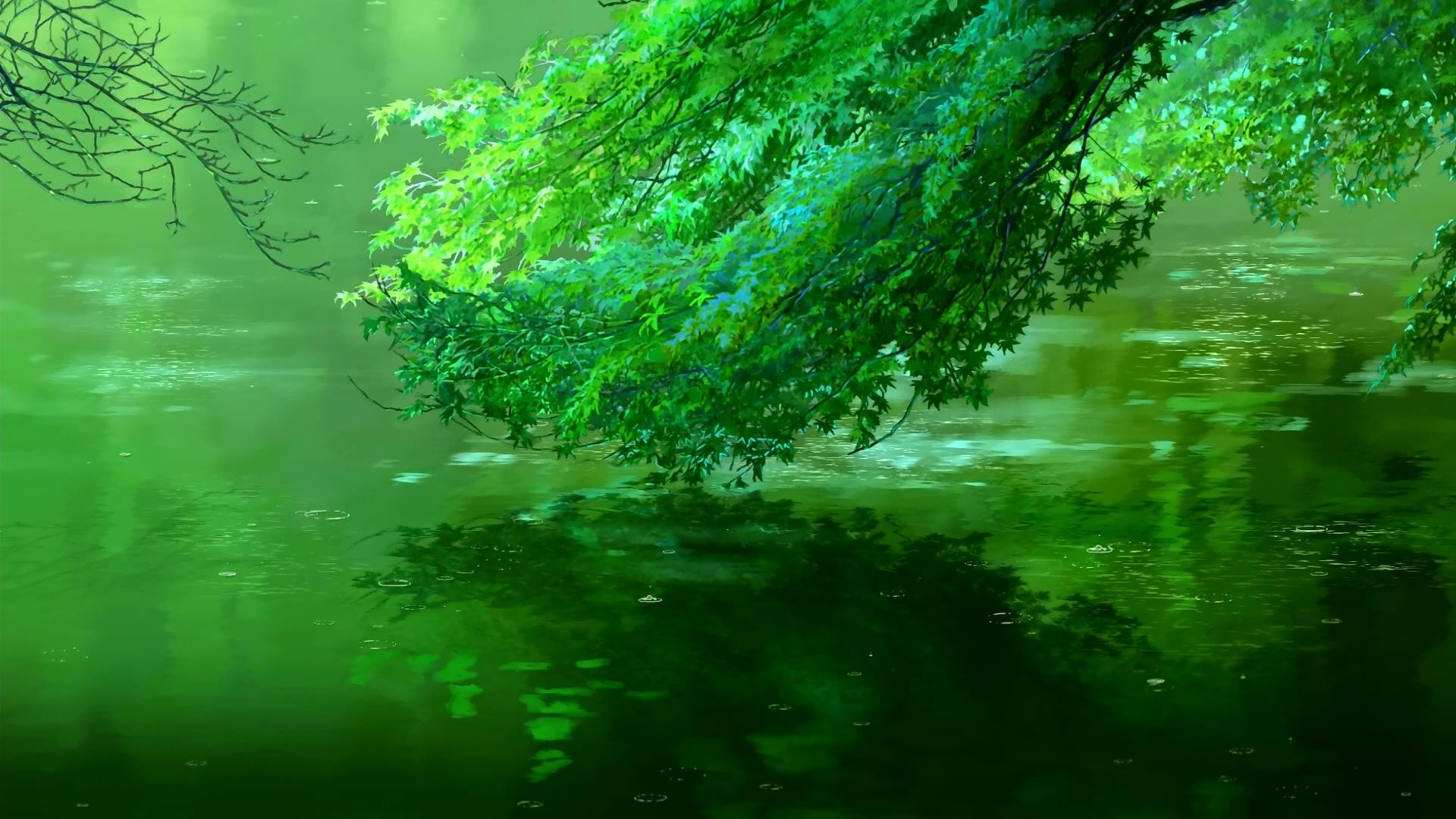 The Garden of Words: Green Leaves Over Water HD Wallpaper